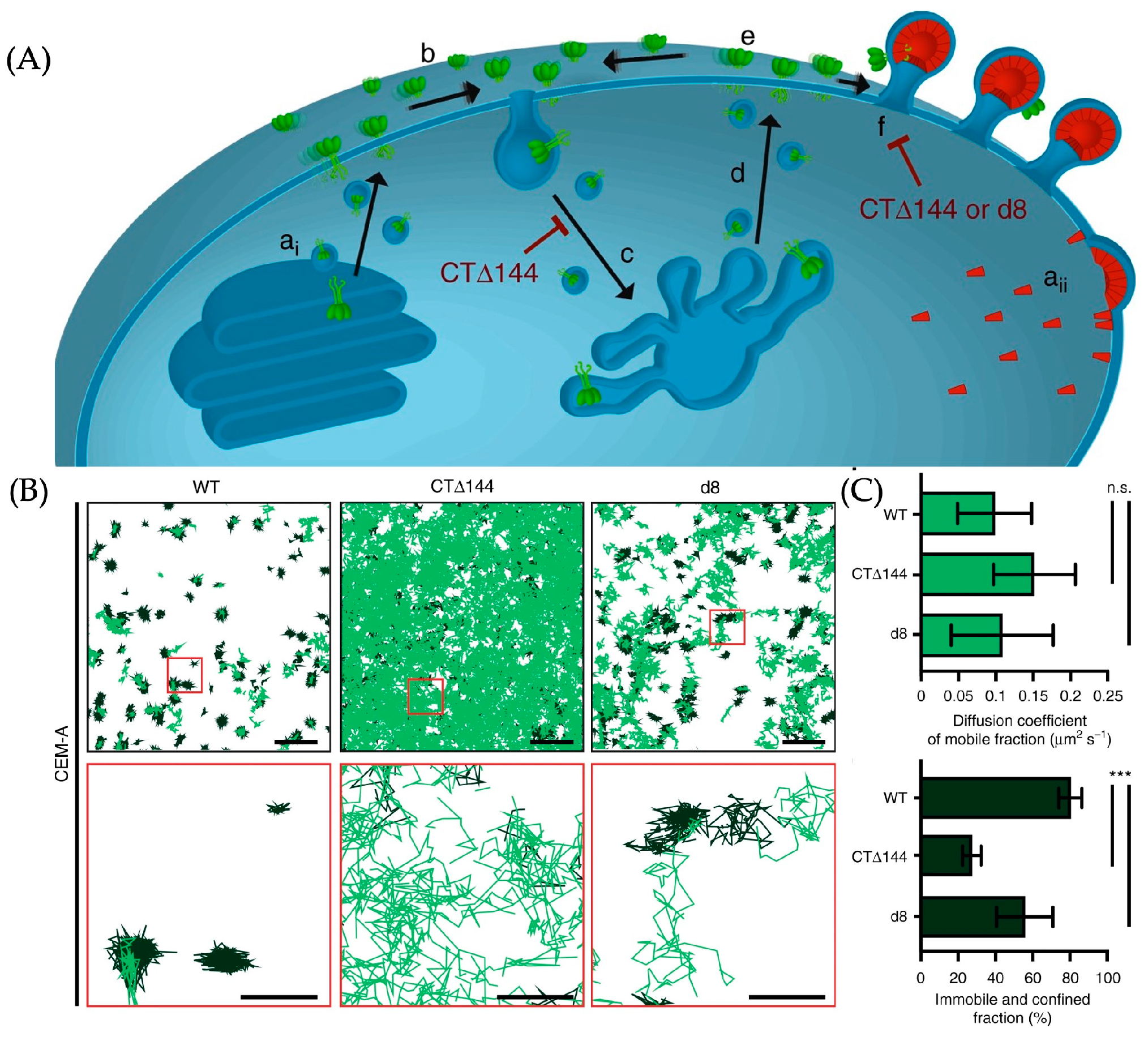 Molecules 29 04243 g026