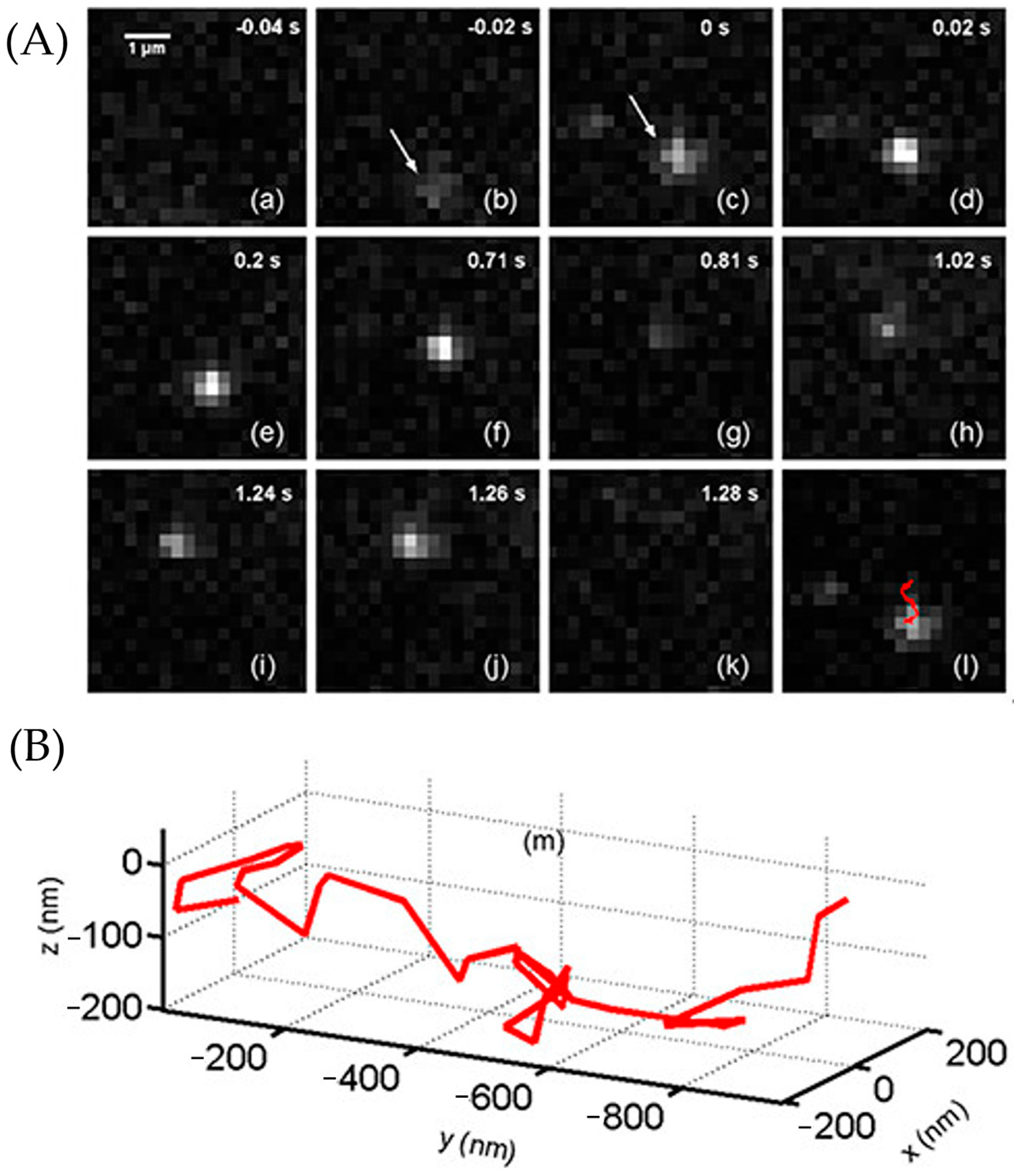 Molecules 29 04243 g030