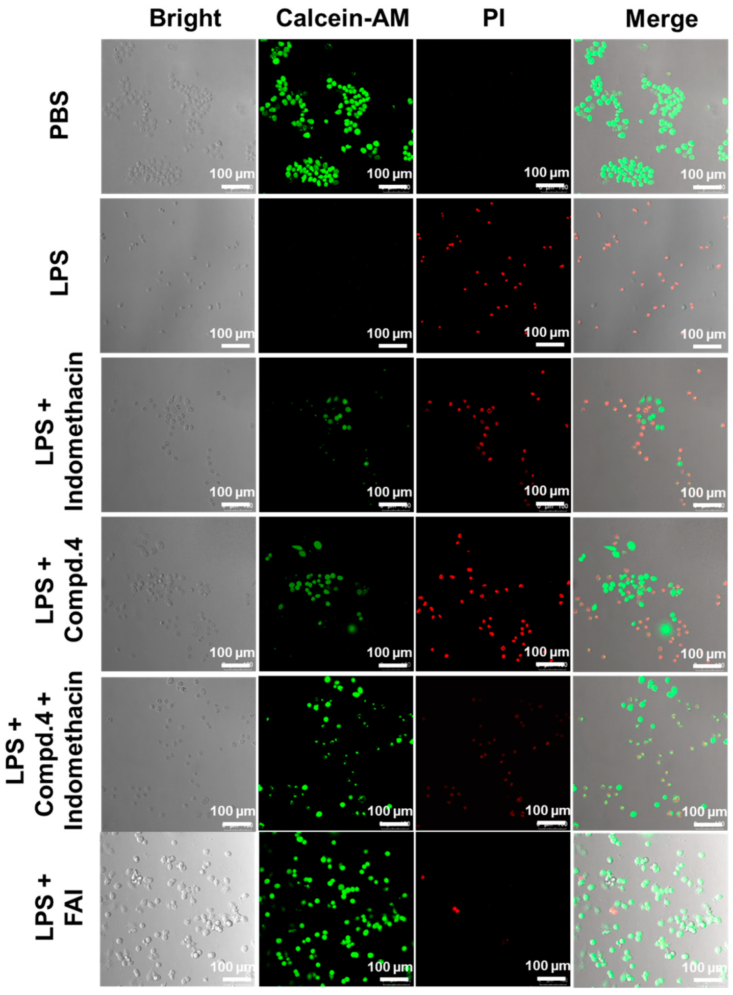 Molecules 29 04244 g005
