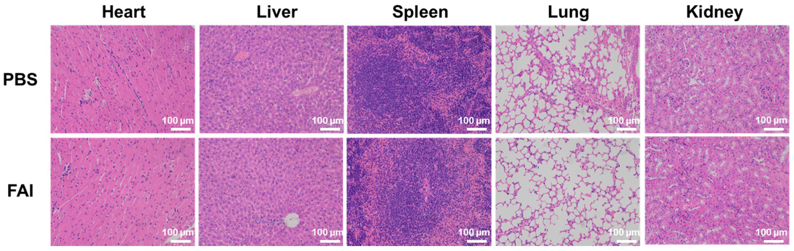 Molecules 29 04244 g008