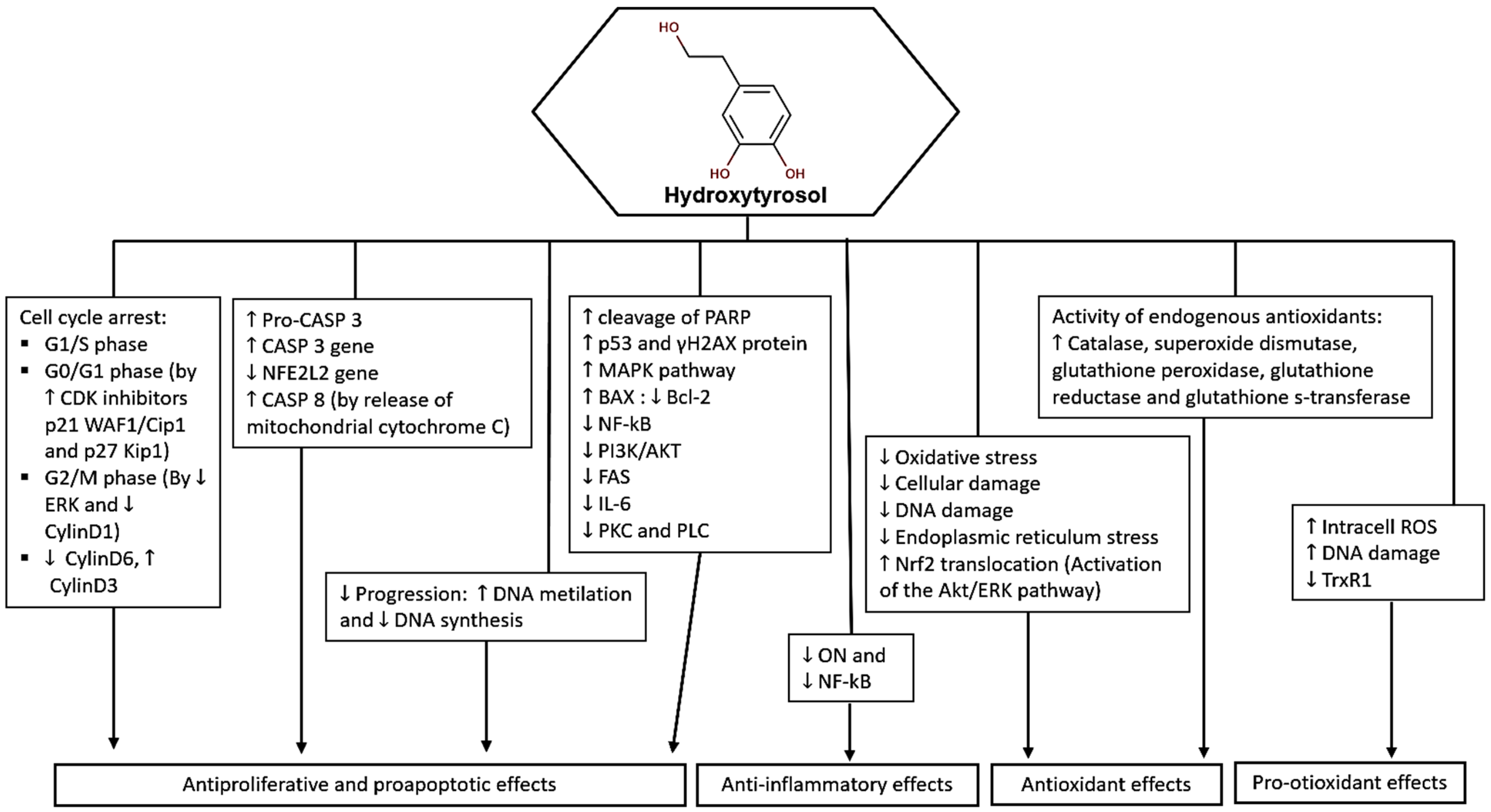 Molecules 29 04249 g003