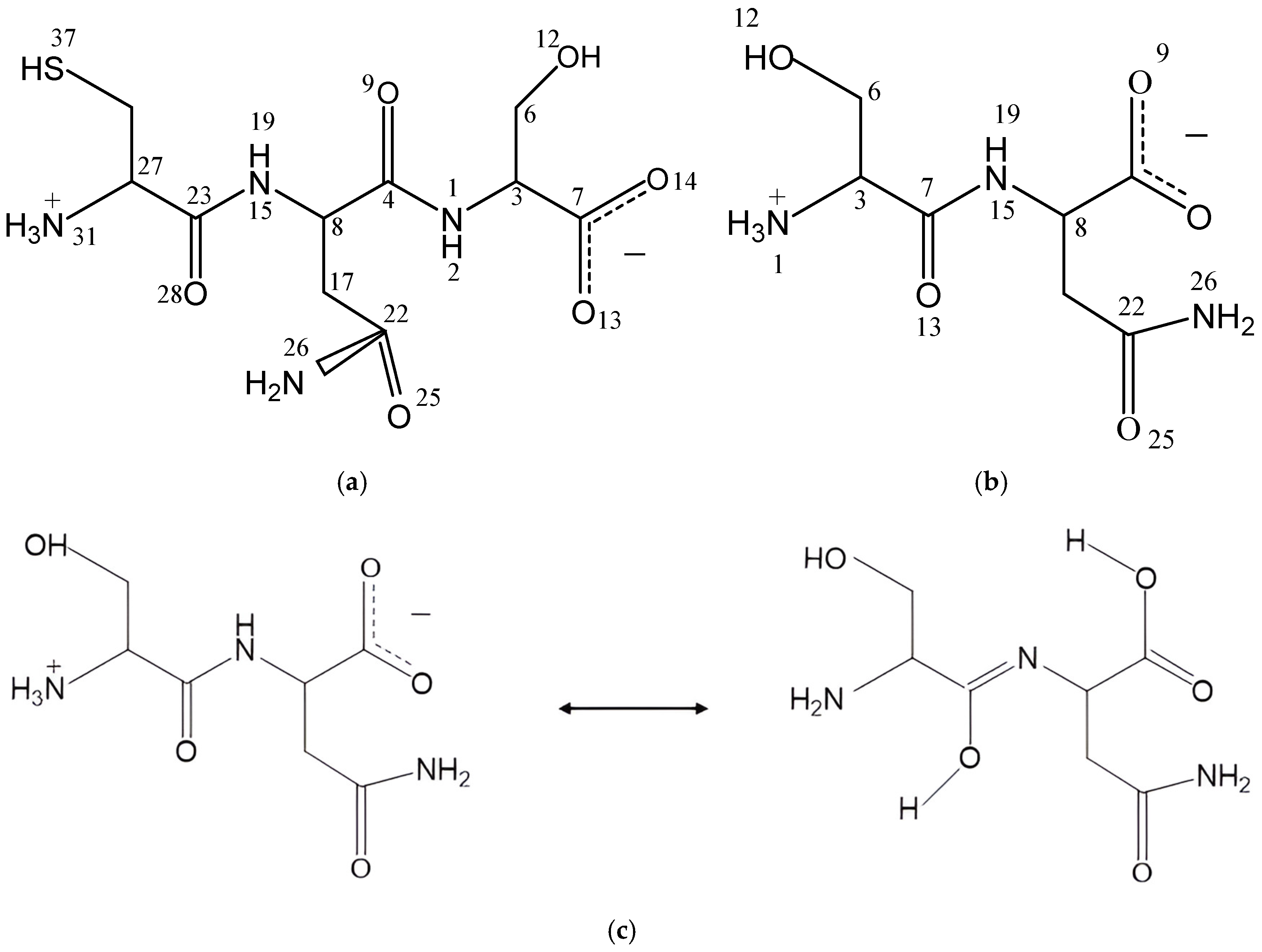 Molecules 29 04250 g001