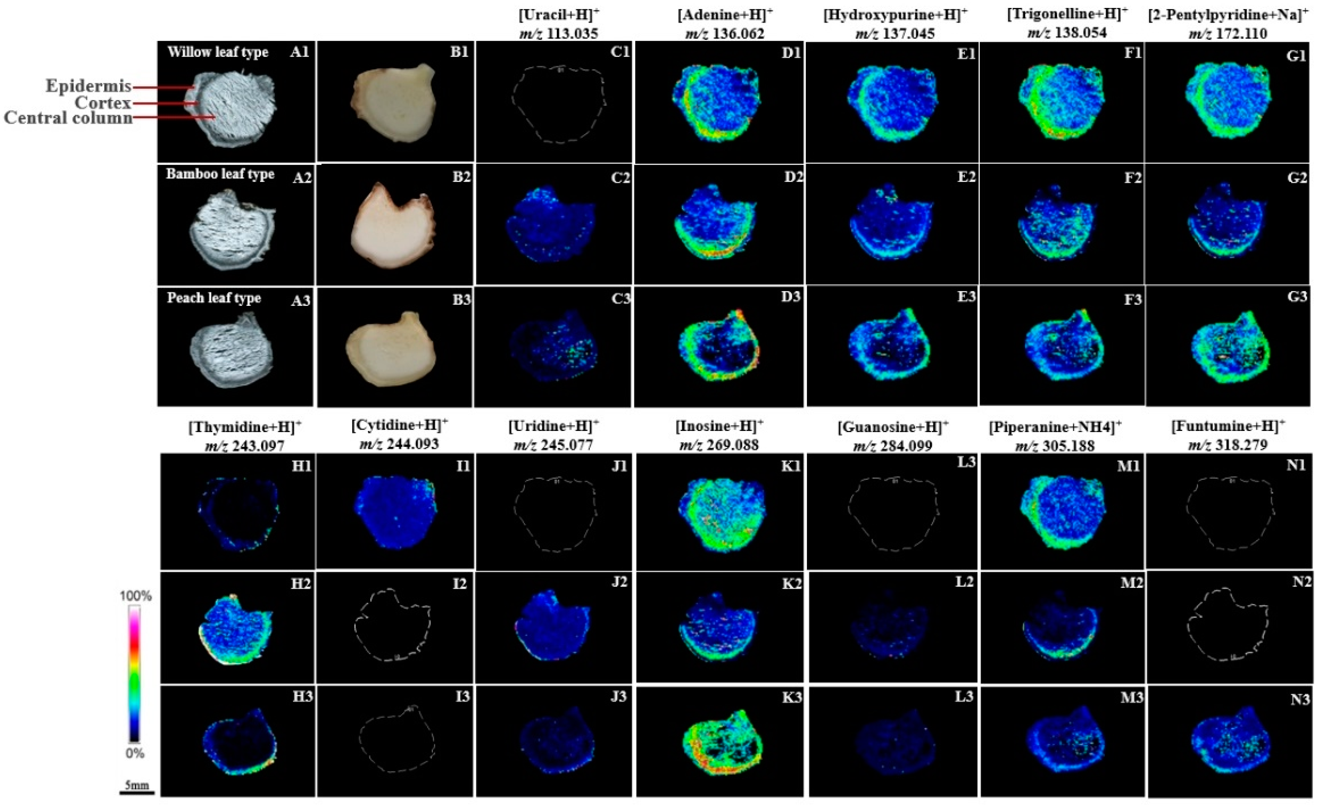 Molecules 29 04251 g002