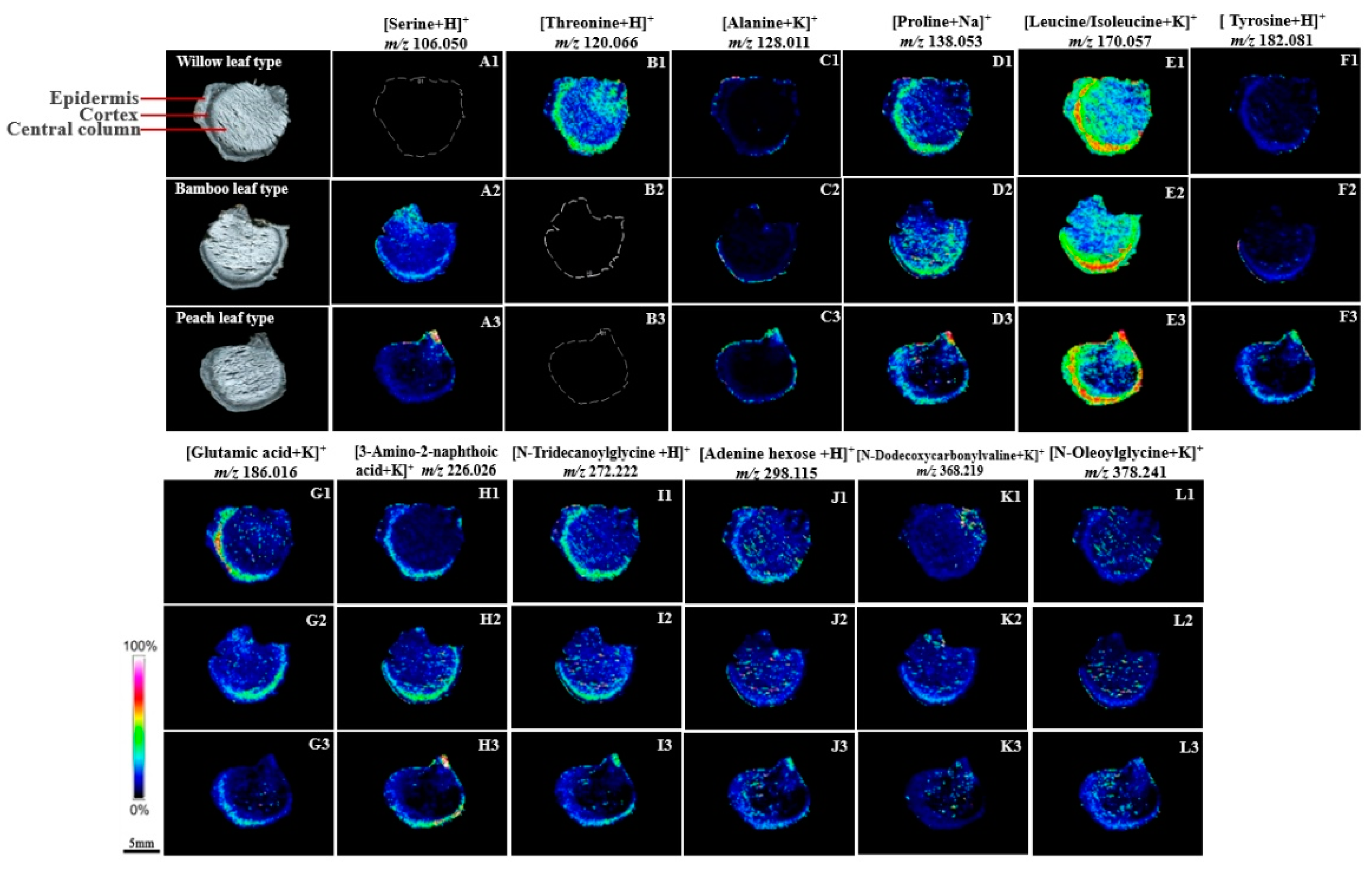 Molecules 29 04251 g004