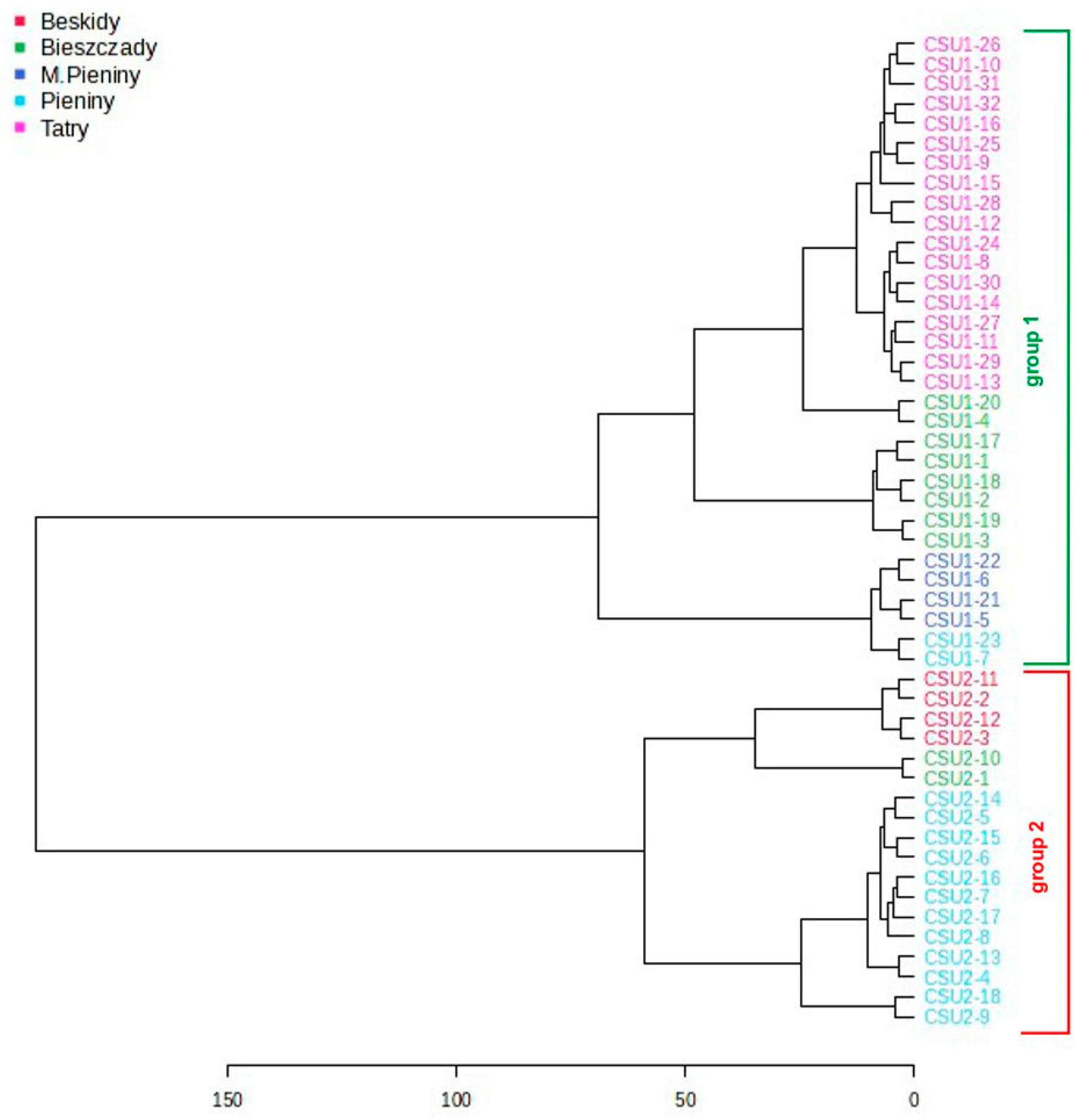 Molecules 29 04258 g006