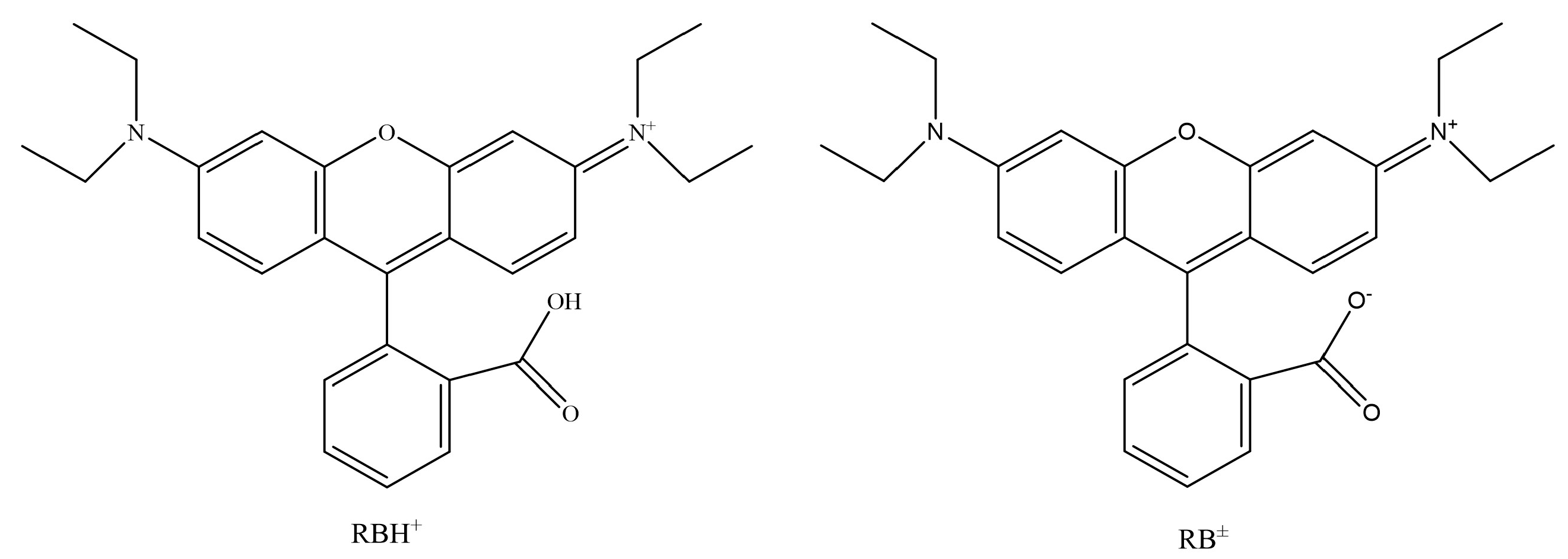 Molecules 29 04262 g005