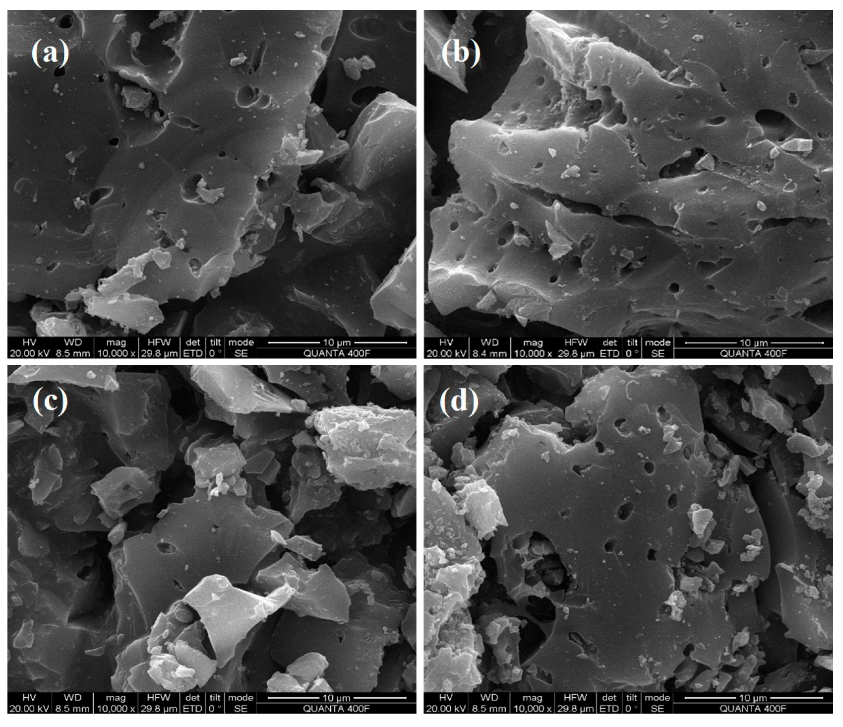 Molecules 29 04262 g013