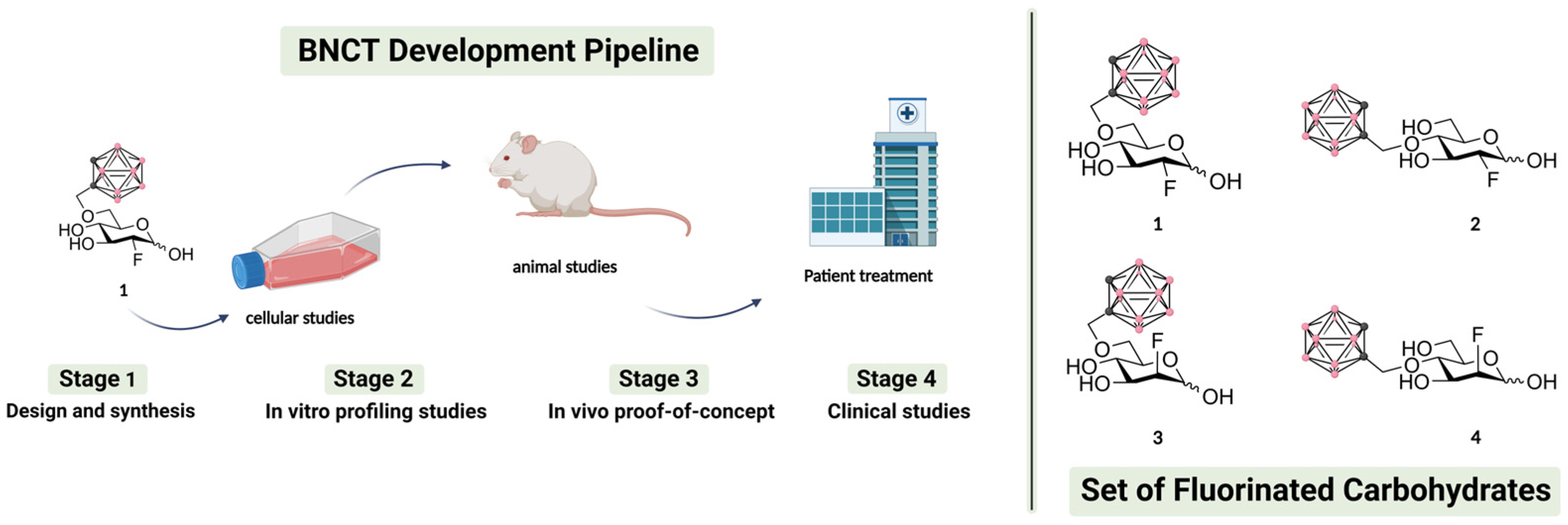 Molecules 29 04263 g001