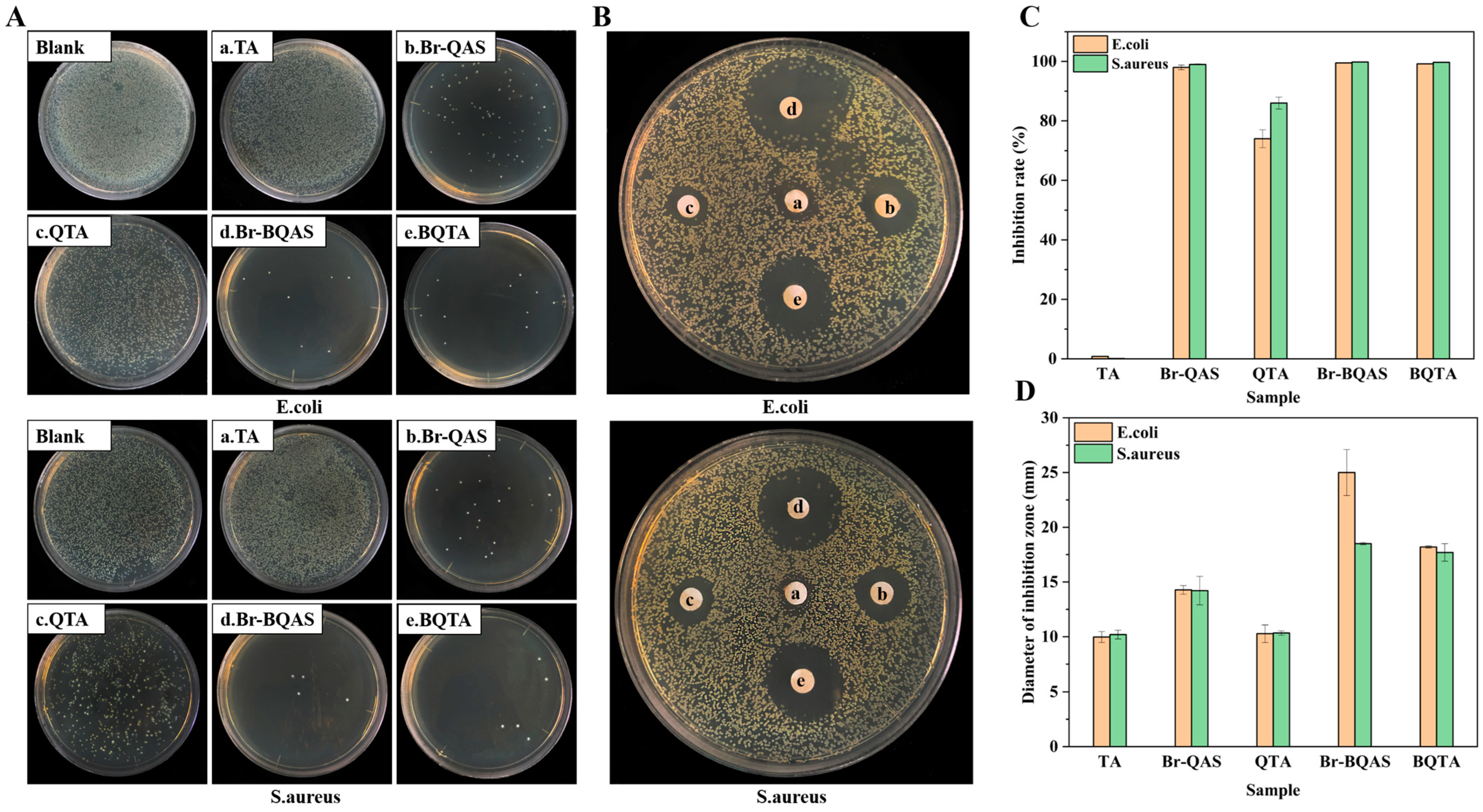 Molecules 29 04264 g003