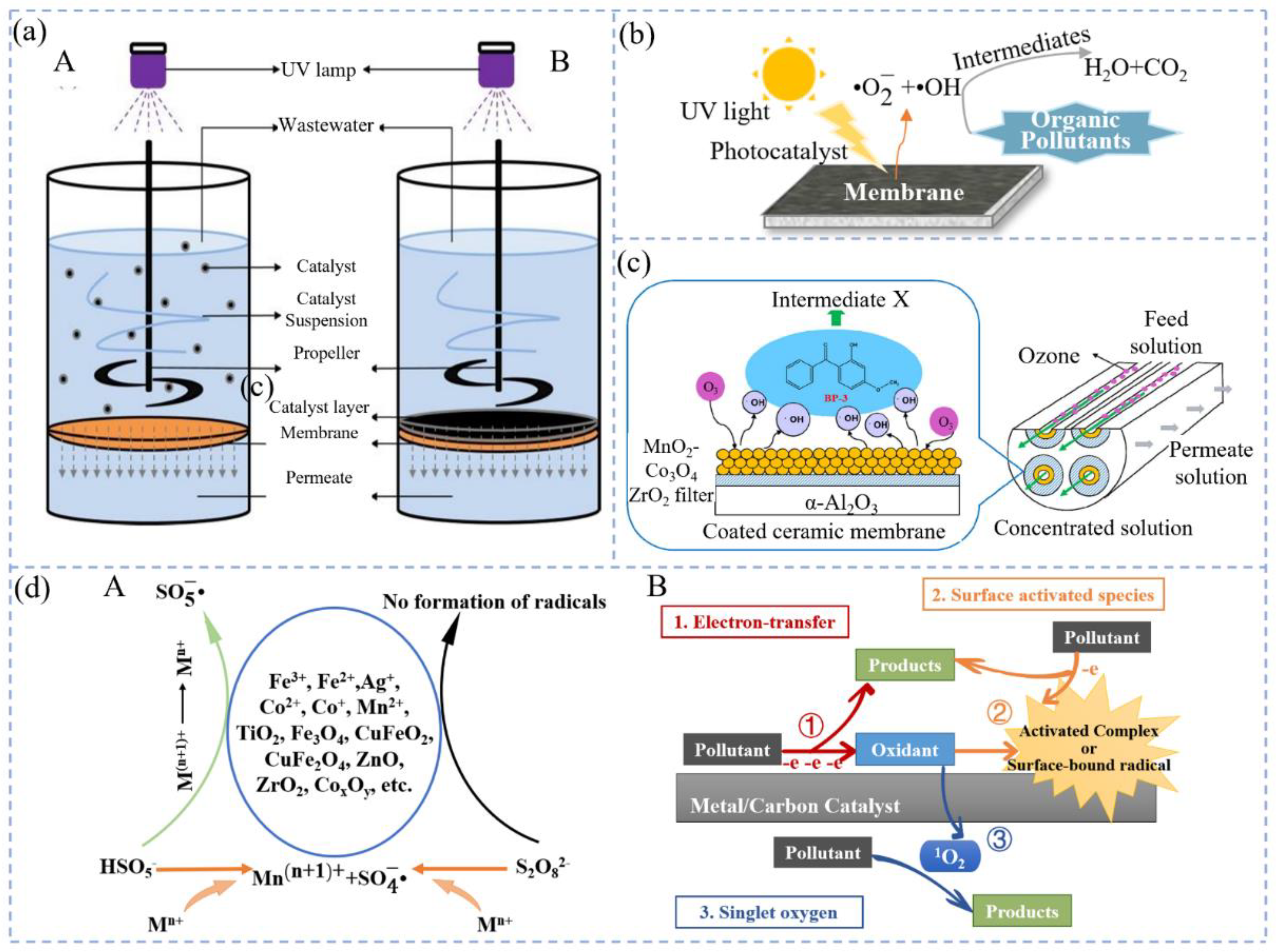 Molecules 29 04267 g003