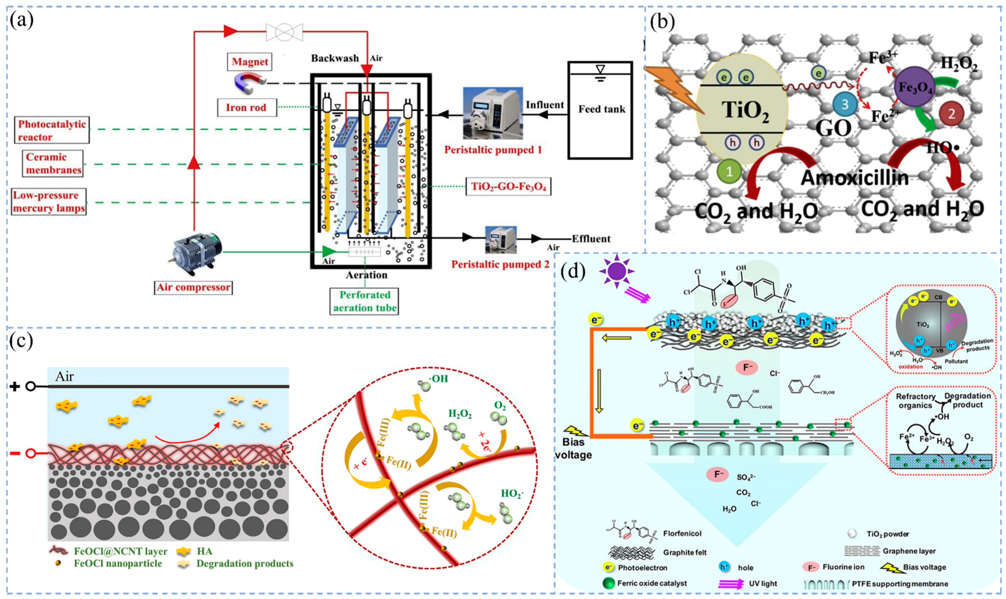 Molecules 29 04267 g004