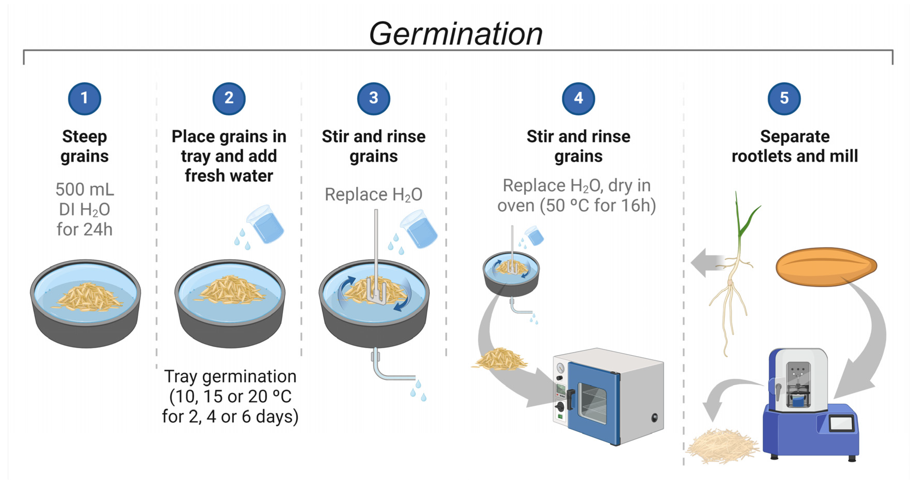 Molecules 29 04268 g001