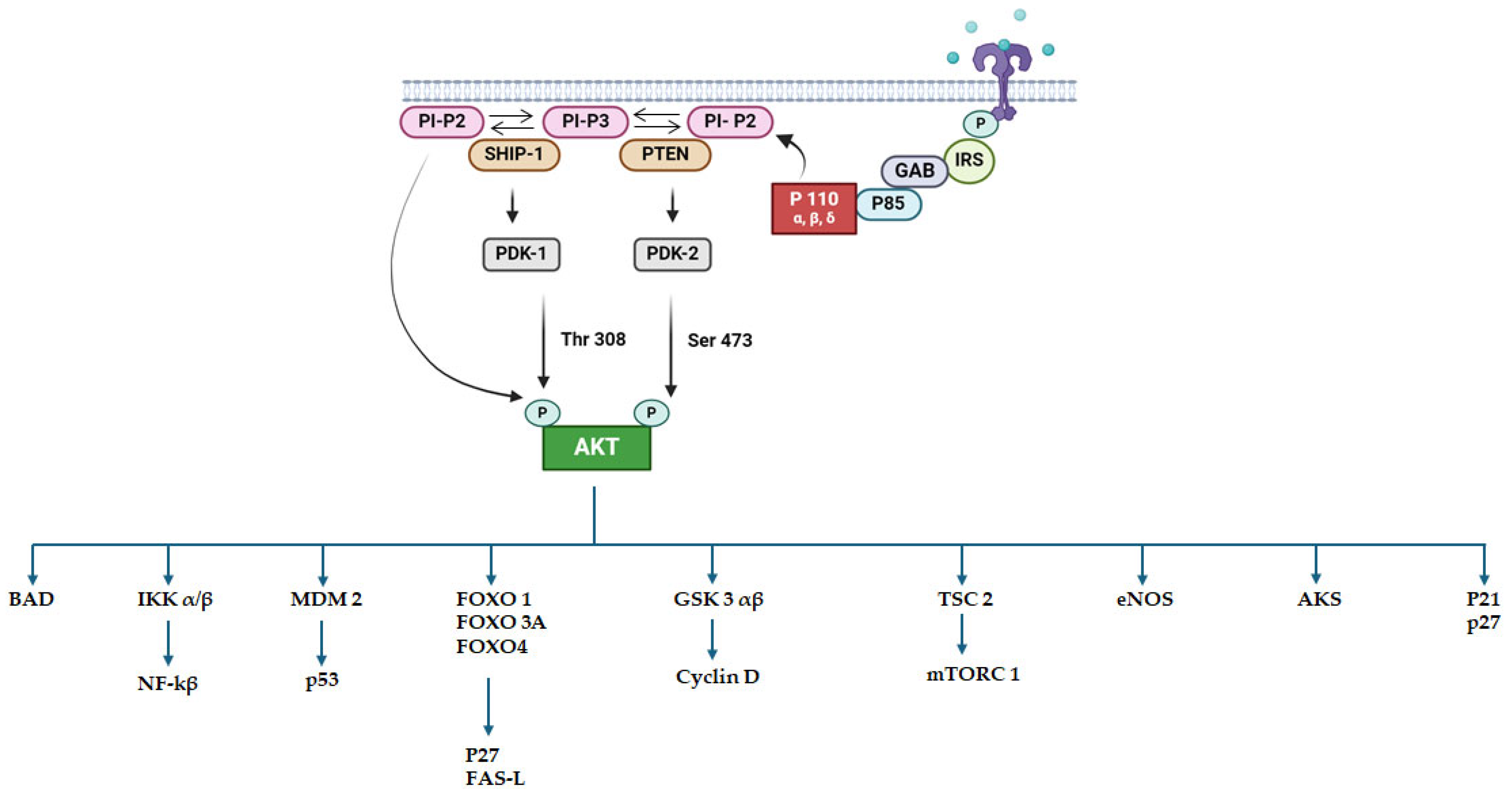 Molecules 29 04280 g001 Molecules 29 04280 g001