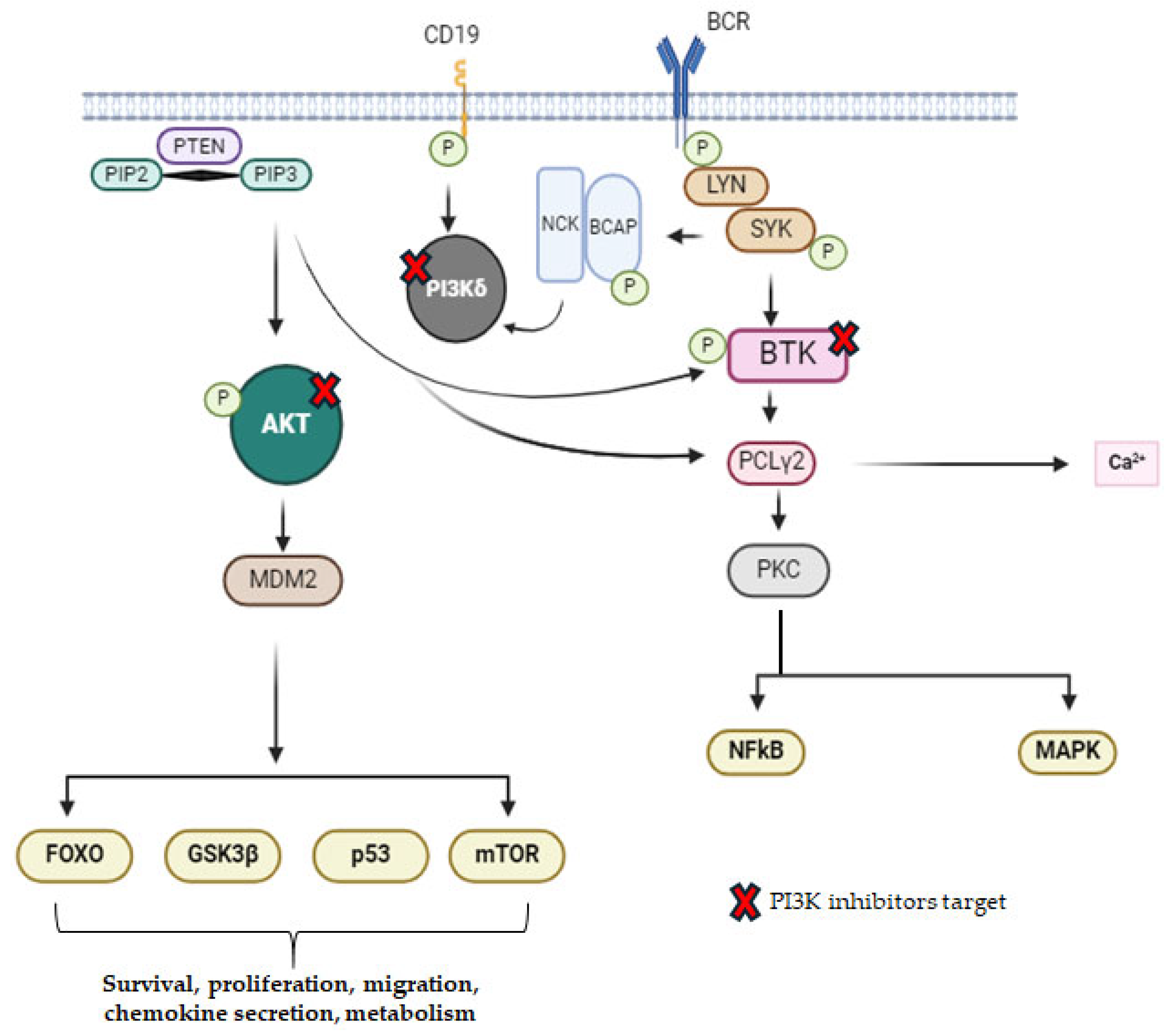 Molecules 29 04280 g002 Molecules 29 04280 g002