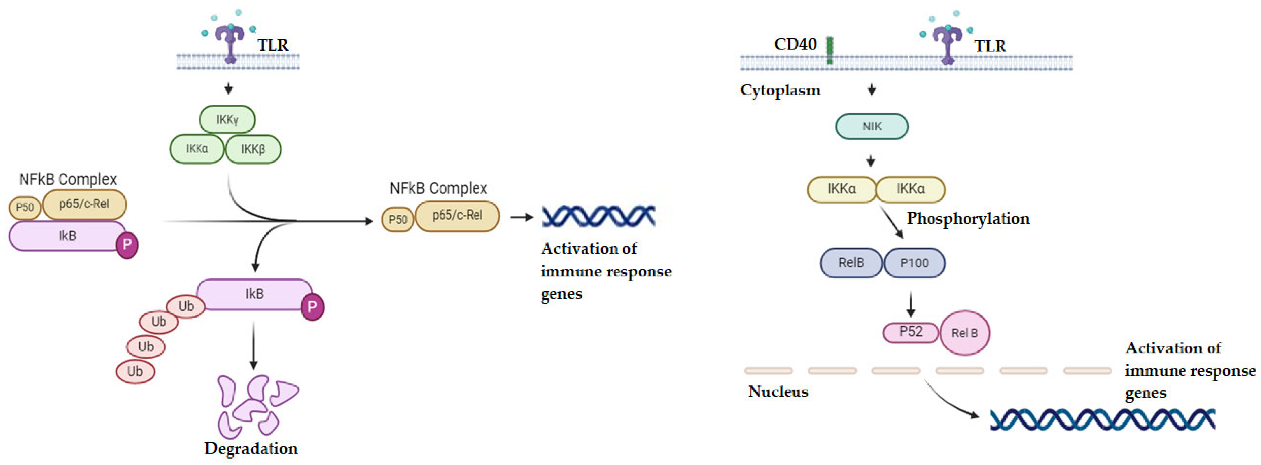 Molecules 29 04280 g003 Molecules 29 04280 g003