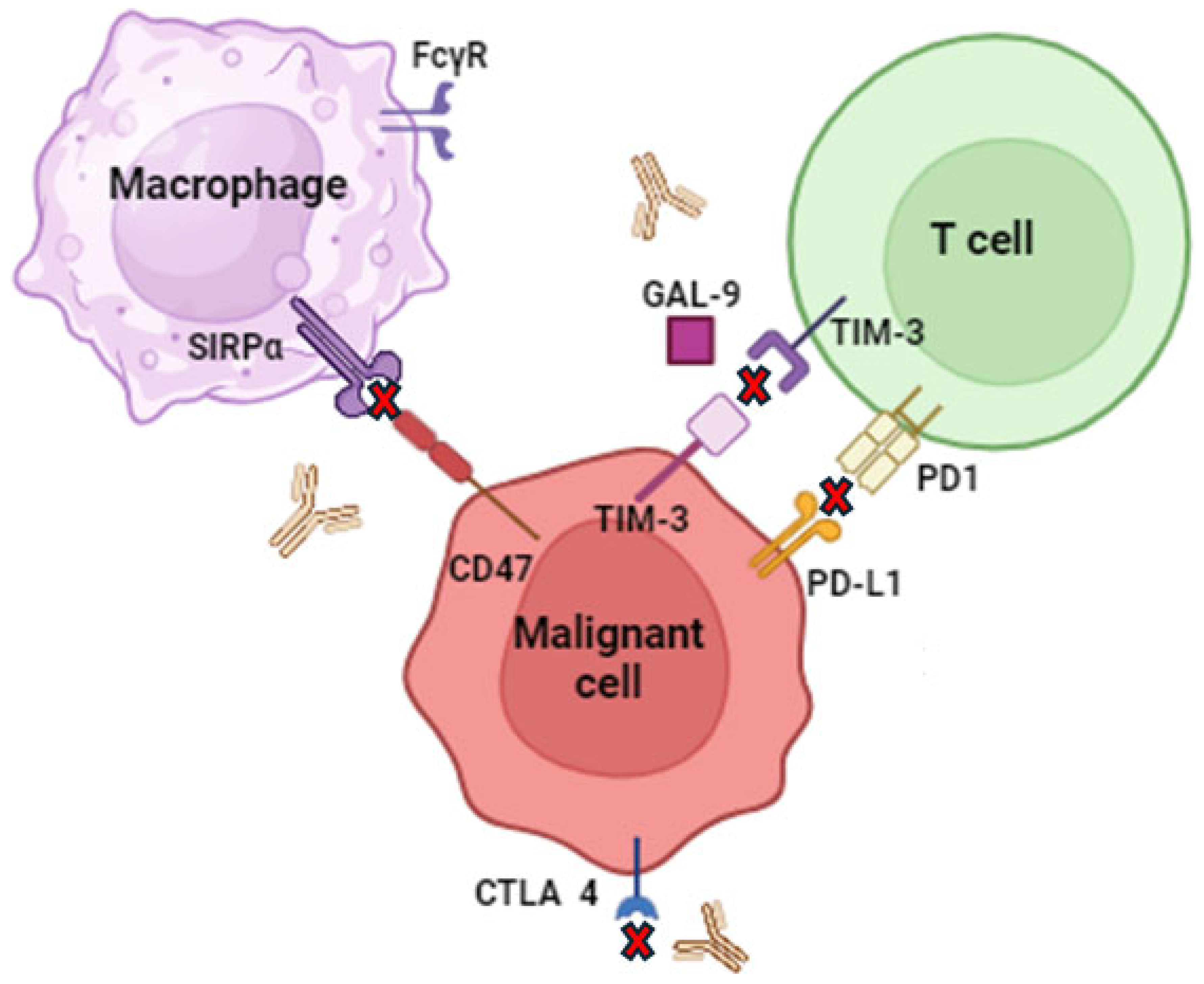 Molecules 29 04280 g004 Molecules 29 04280 g004