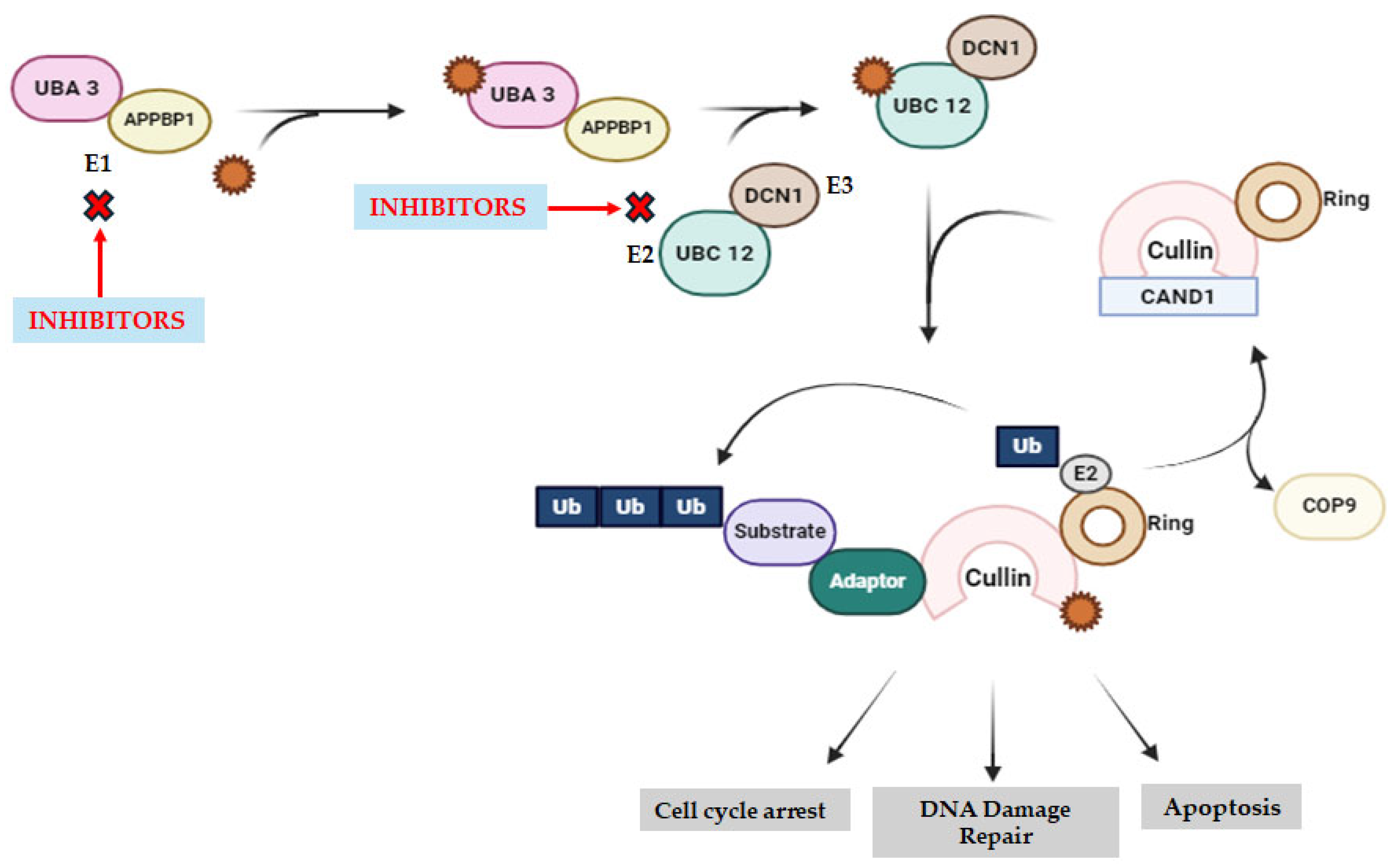 Molecules 29 04280 g005 Molecules 29 04280 g005