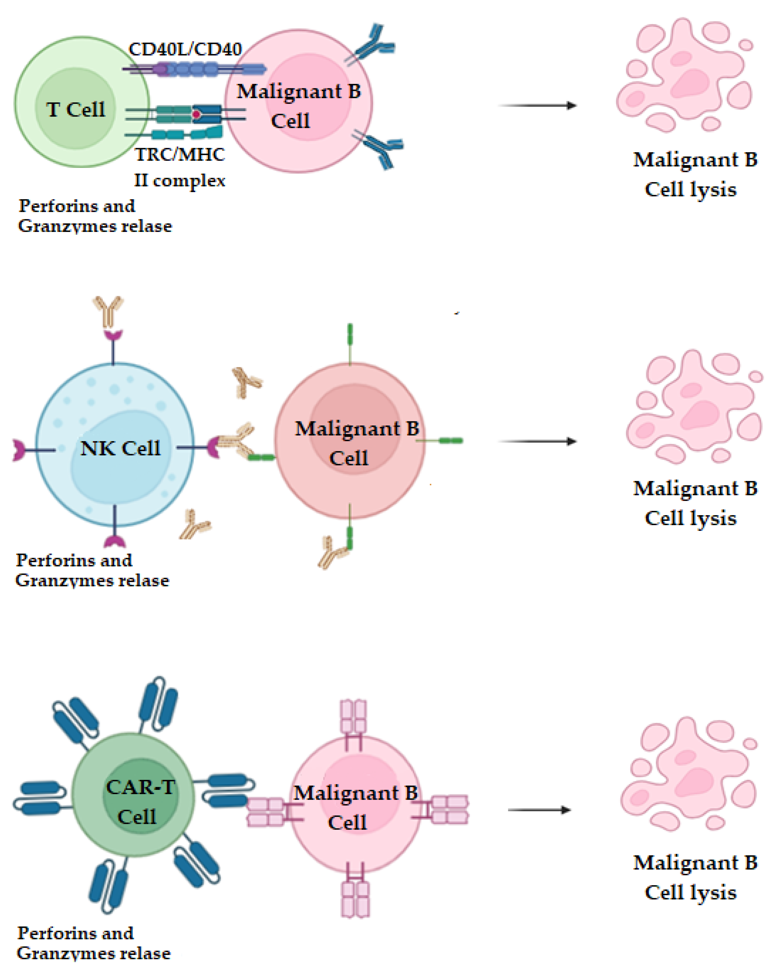 Molecules 29 04280 g006 Molecules 29 04280 g006