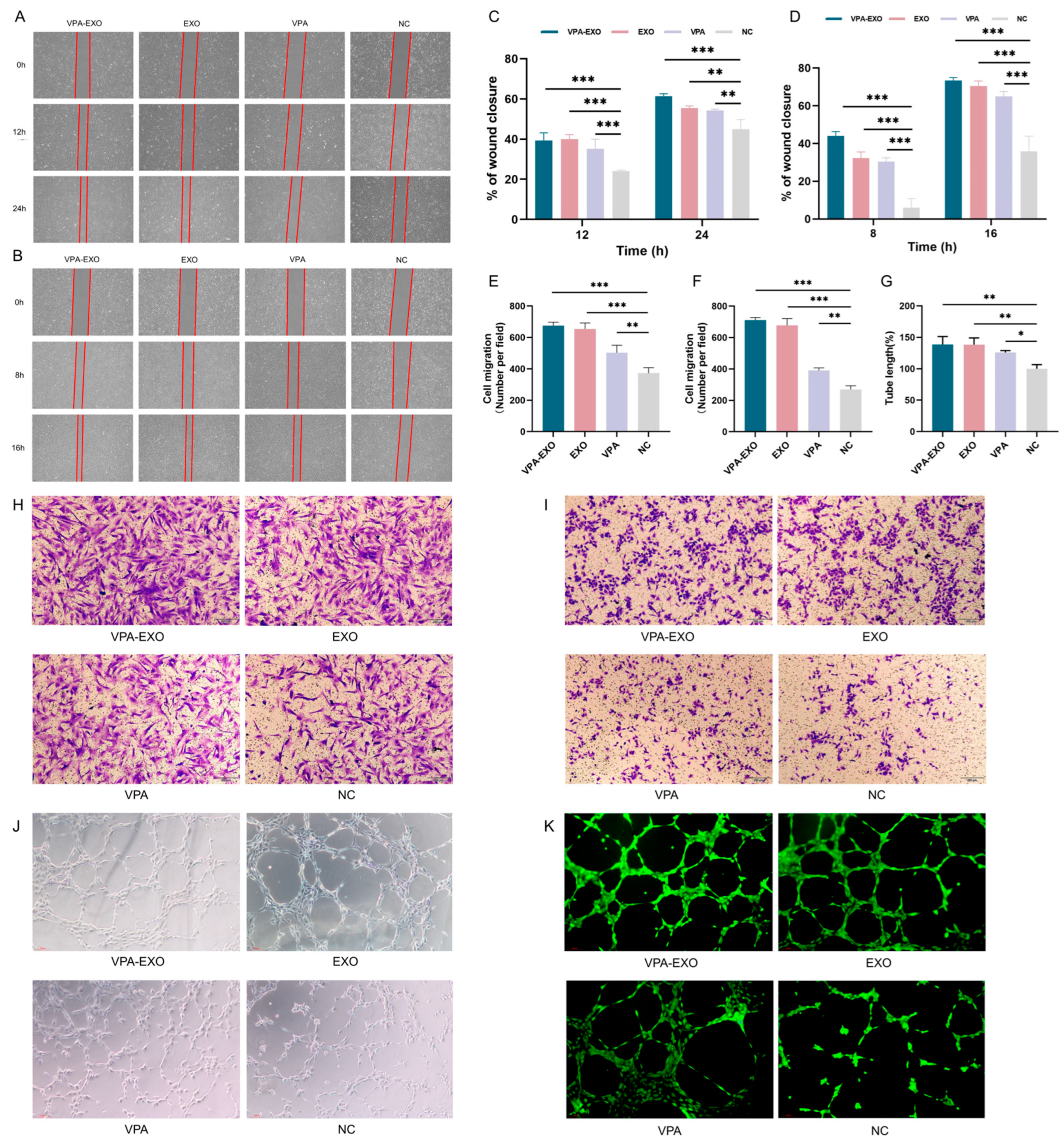 Molecules 29 04281 g004
