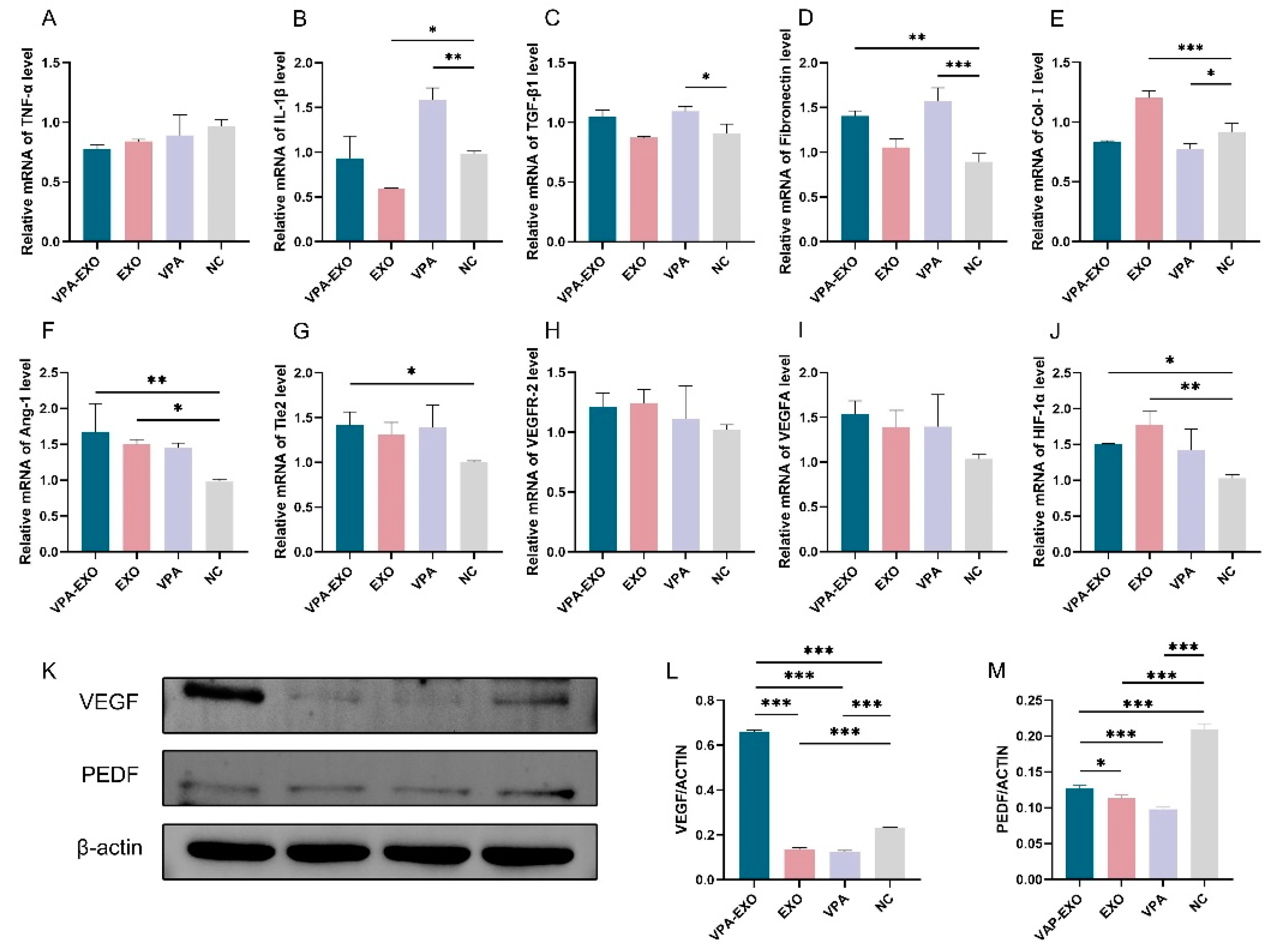 Molecules 29 04281 g006