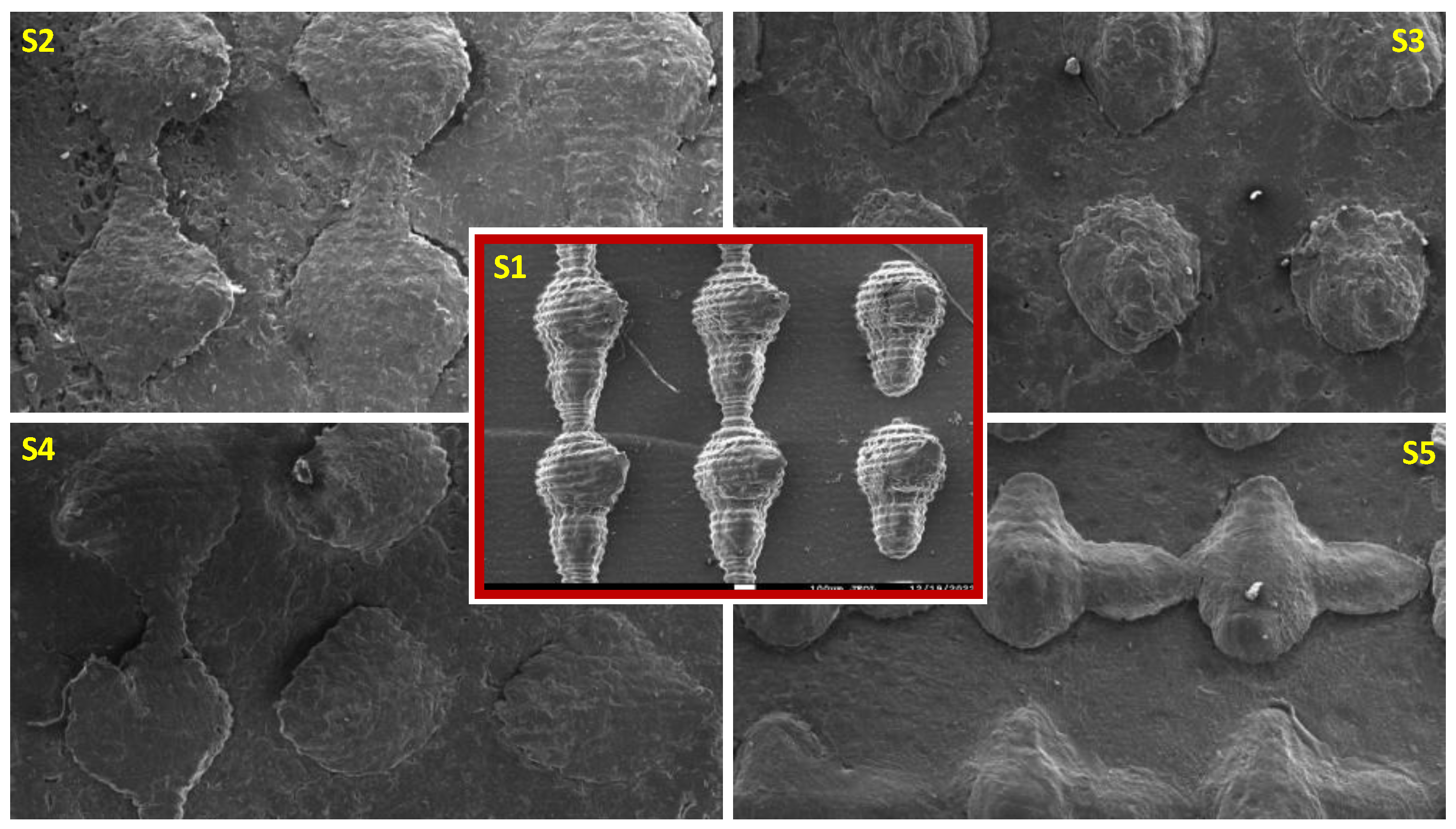 Molecules 29 04289 g010