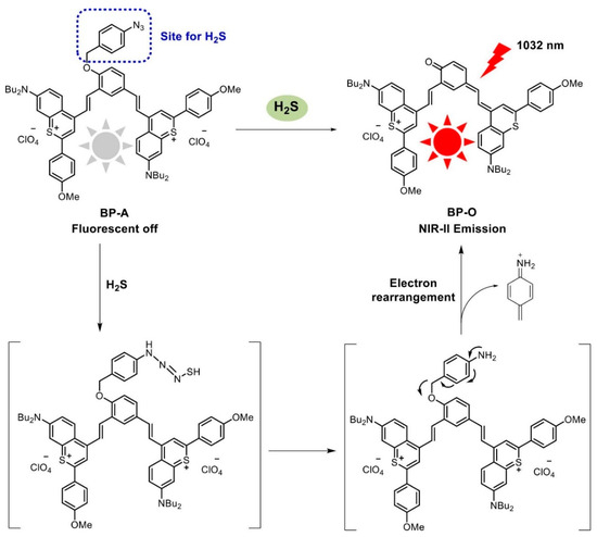 チュウ Chemoautotrophic sulphur oxidizers dominate microbial
