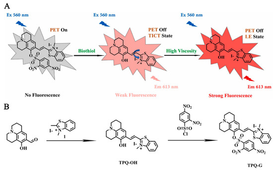 Application of Intelligent Response Fluorescent Probe in