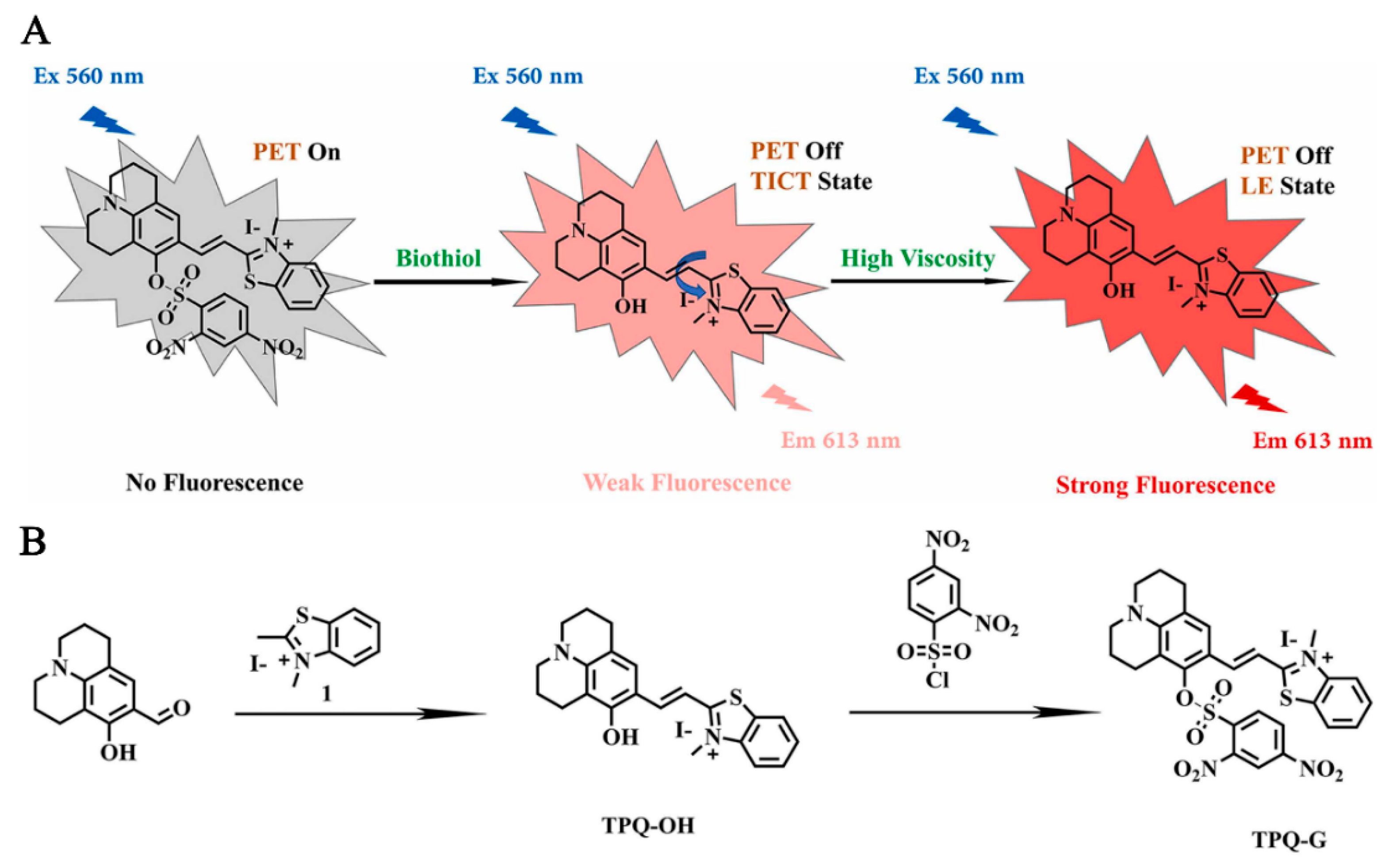Molecules 29 04294 g003