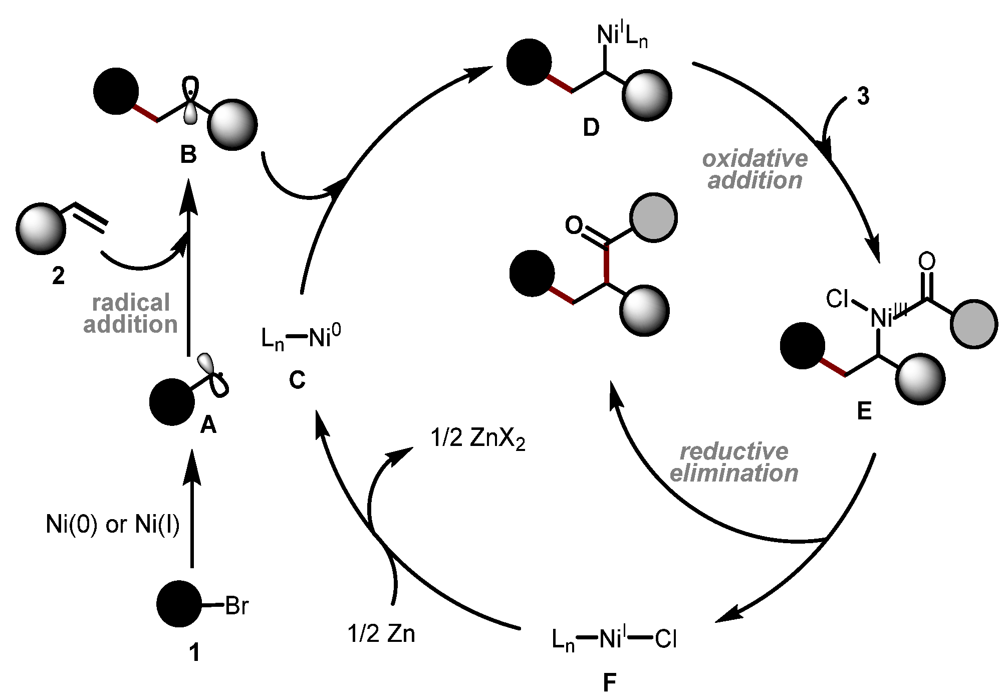 Molecules 29 04295 sch005