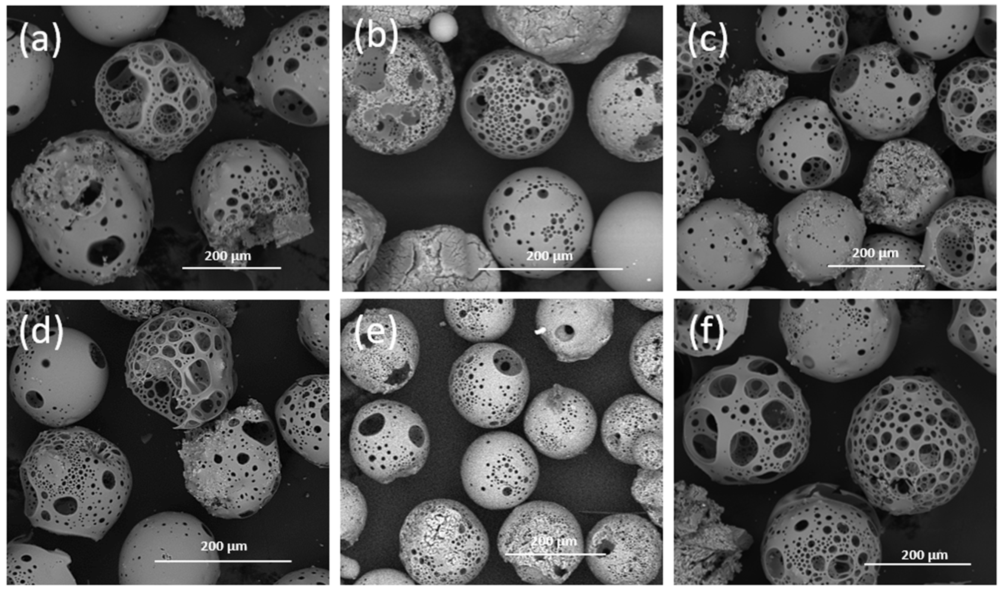 Molecules 29 04296 g010 Molecules 29 04296 g010