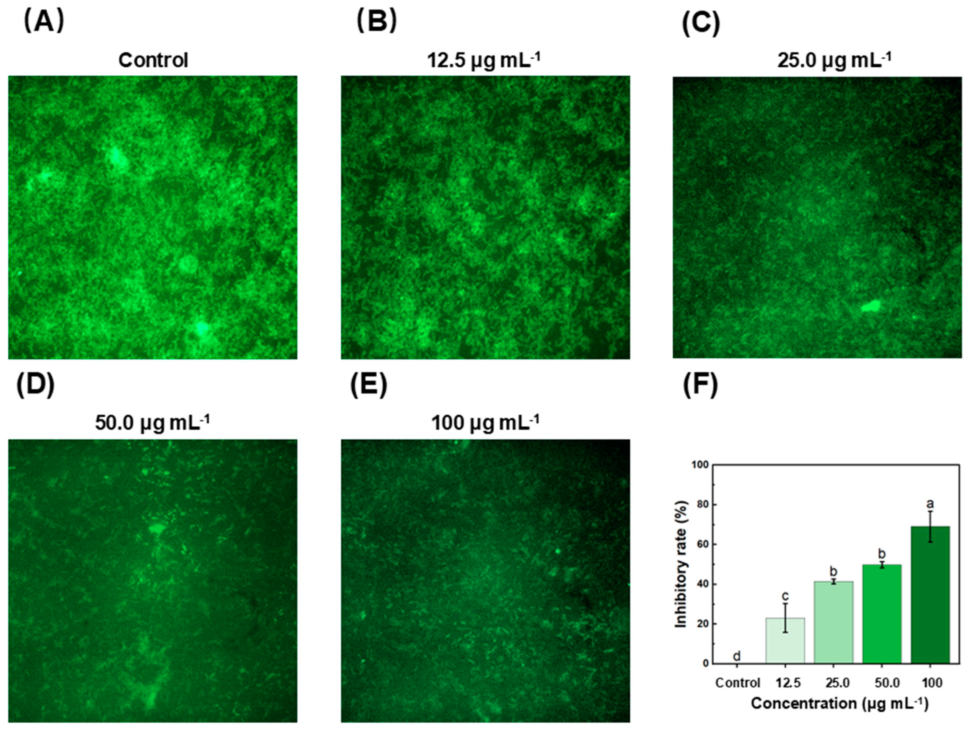 Molecules 29 04297 g003 Molecules 29 04297 g003