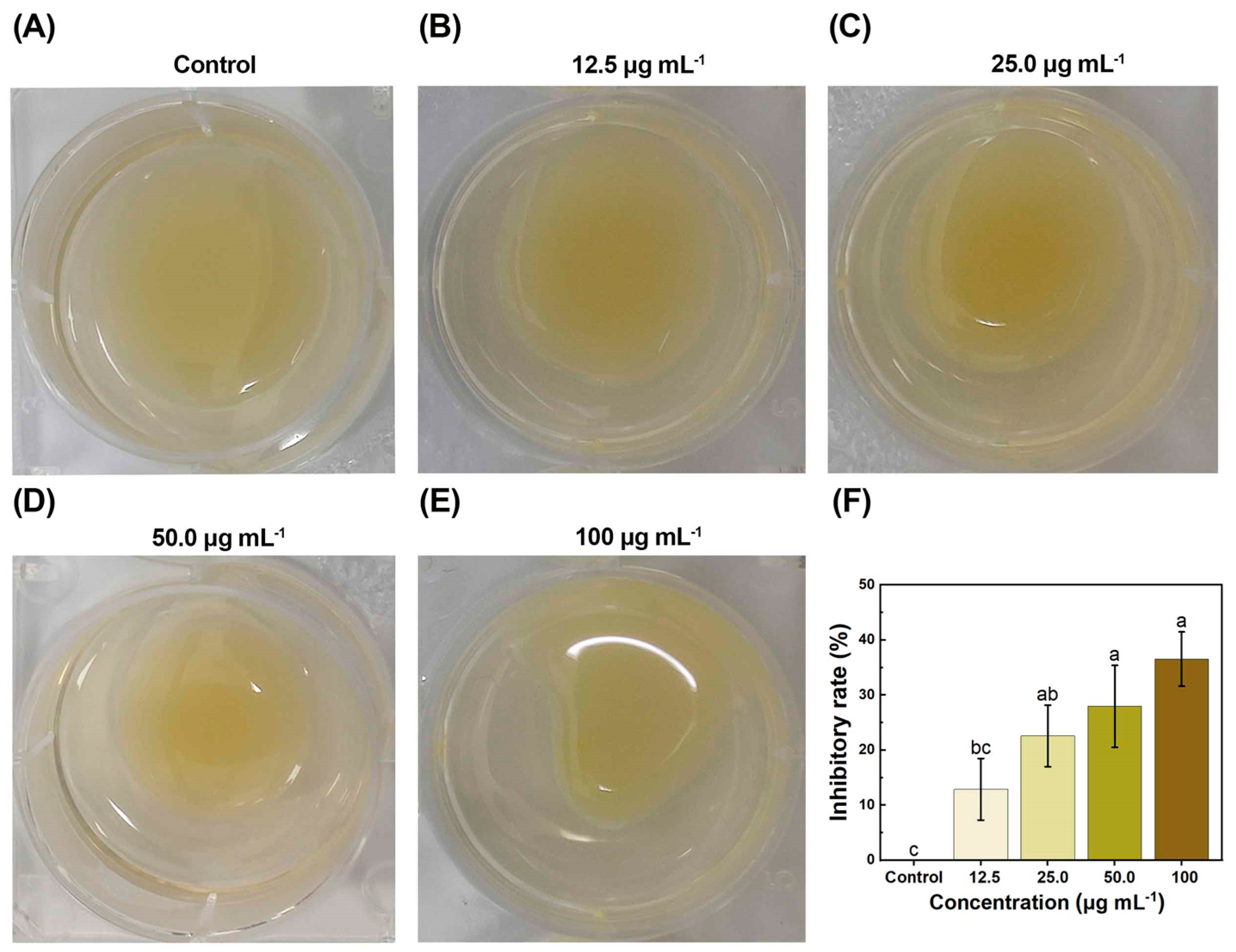 Molecules 29 04297 g004 Molecules 29 04297 g004