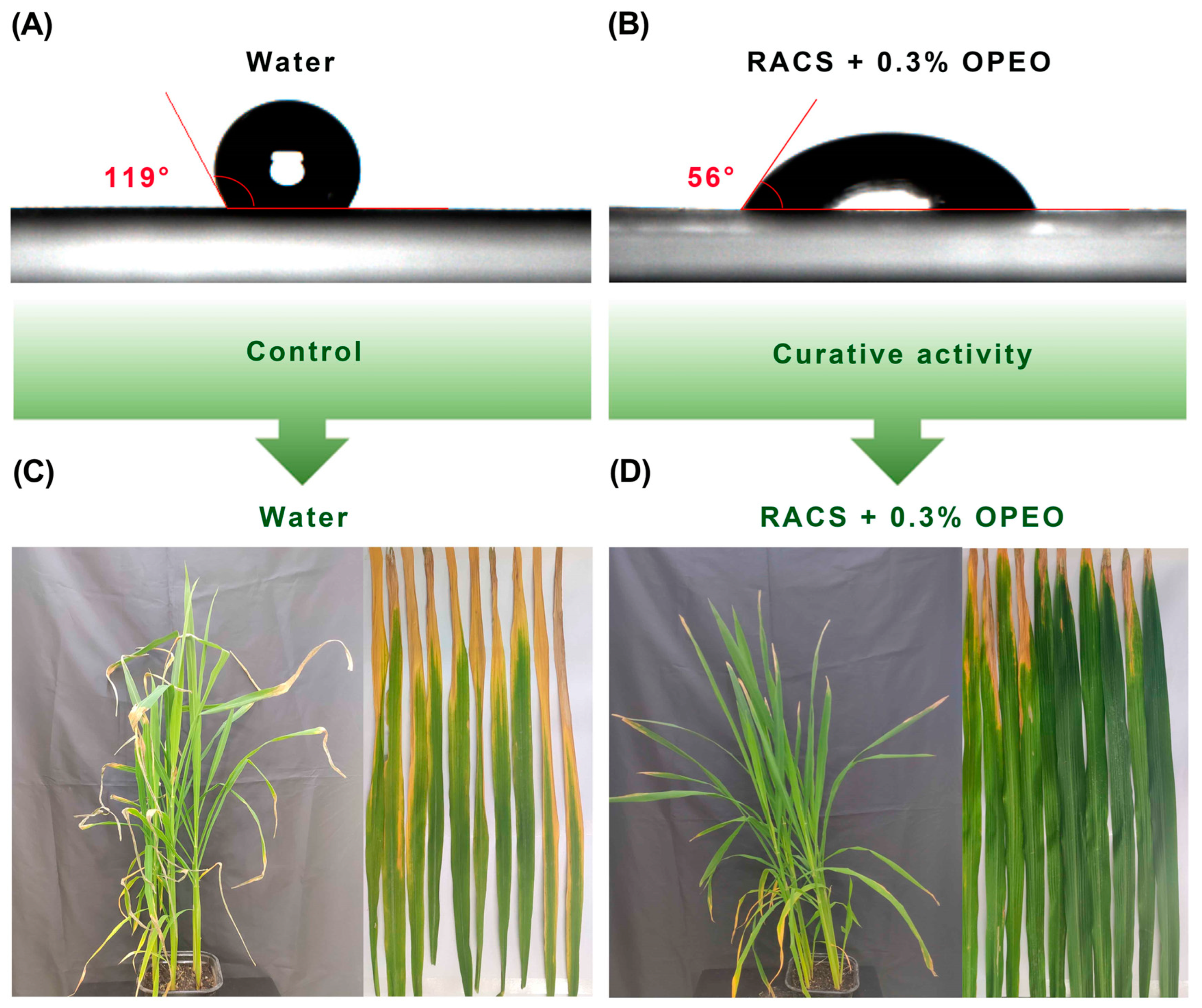 Molecules 29 04297 g009 Molecules 29 04297 g009