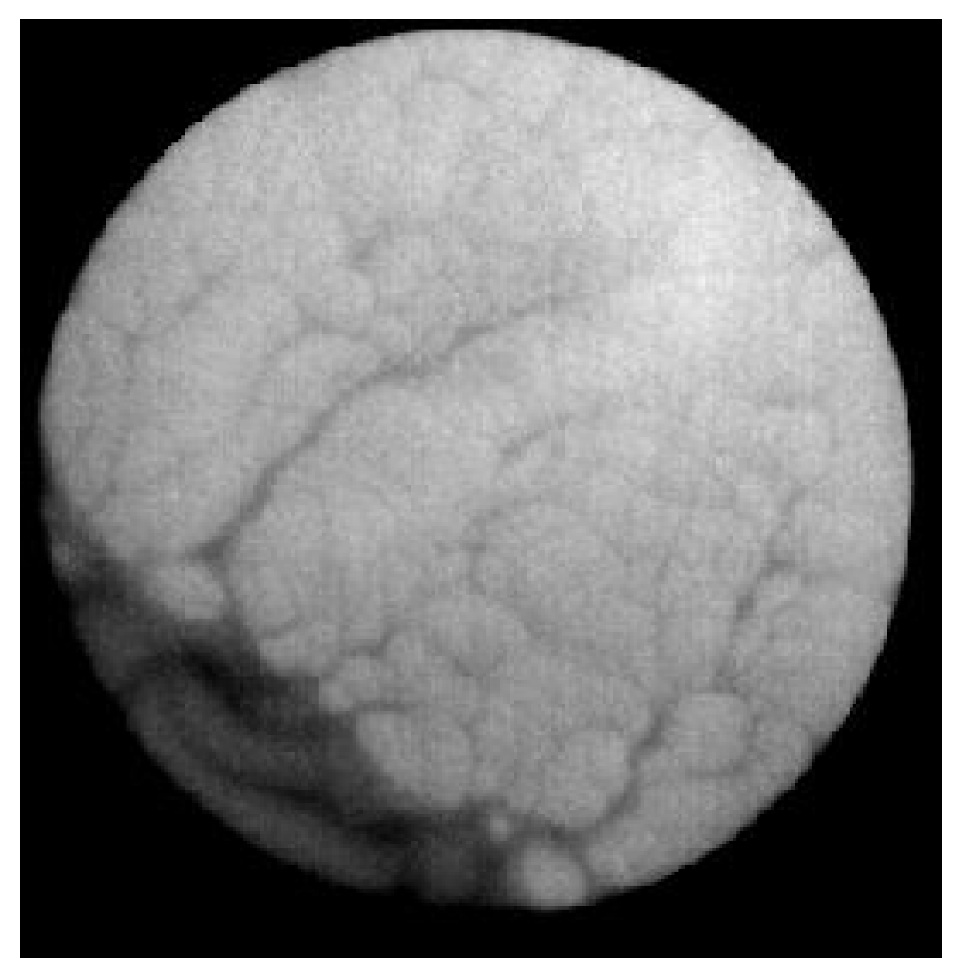 Molecules 29 04309 g005