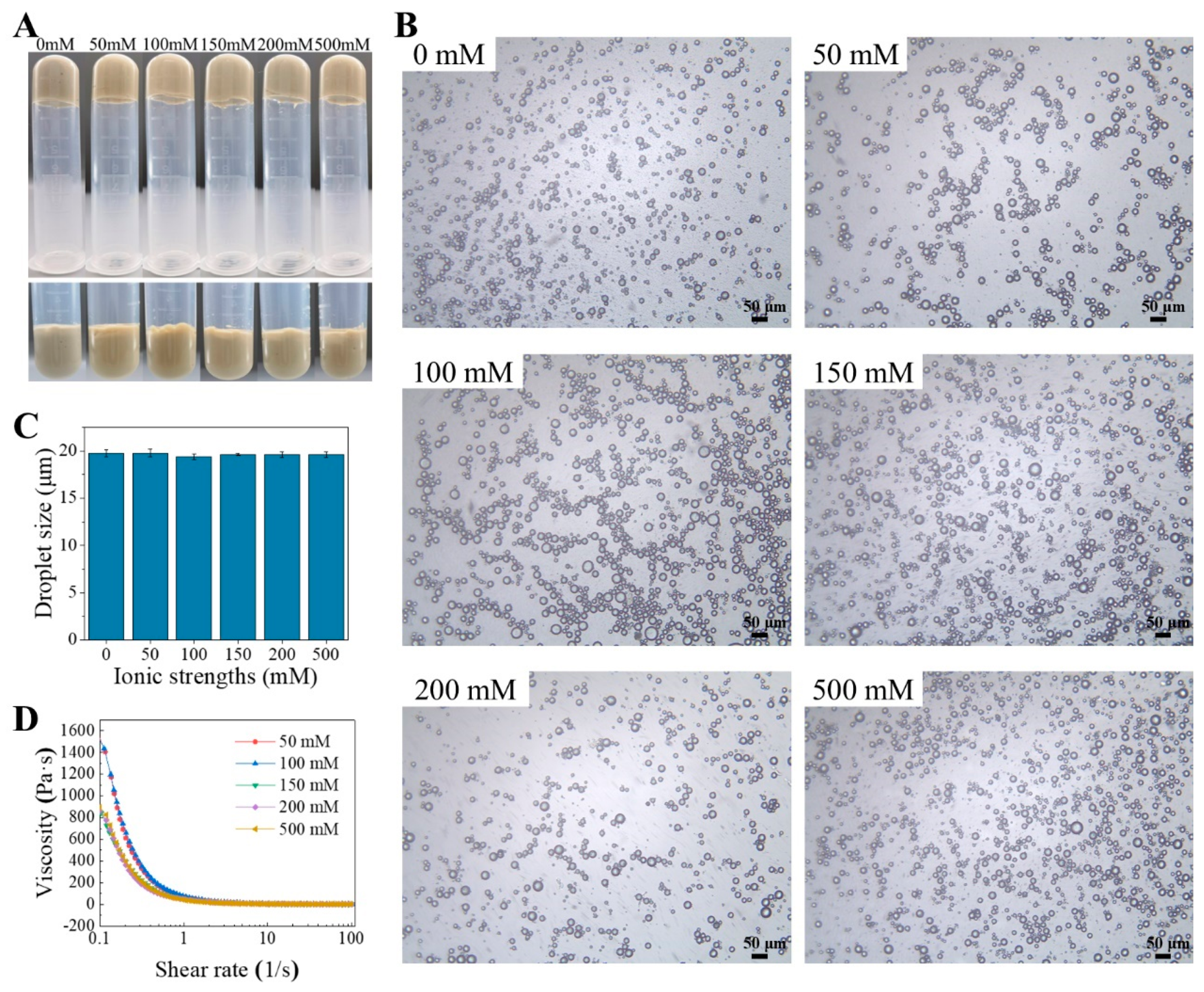 Molecules 29 04312 g006