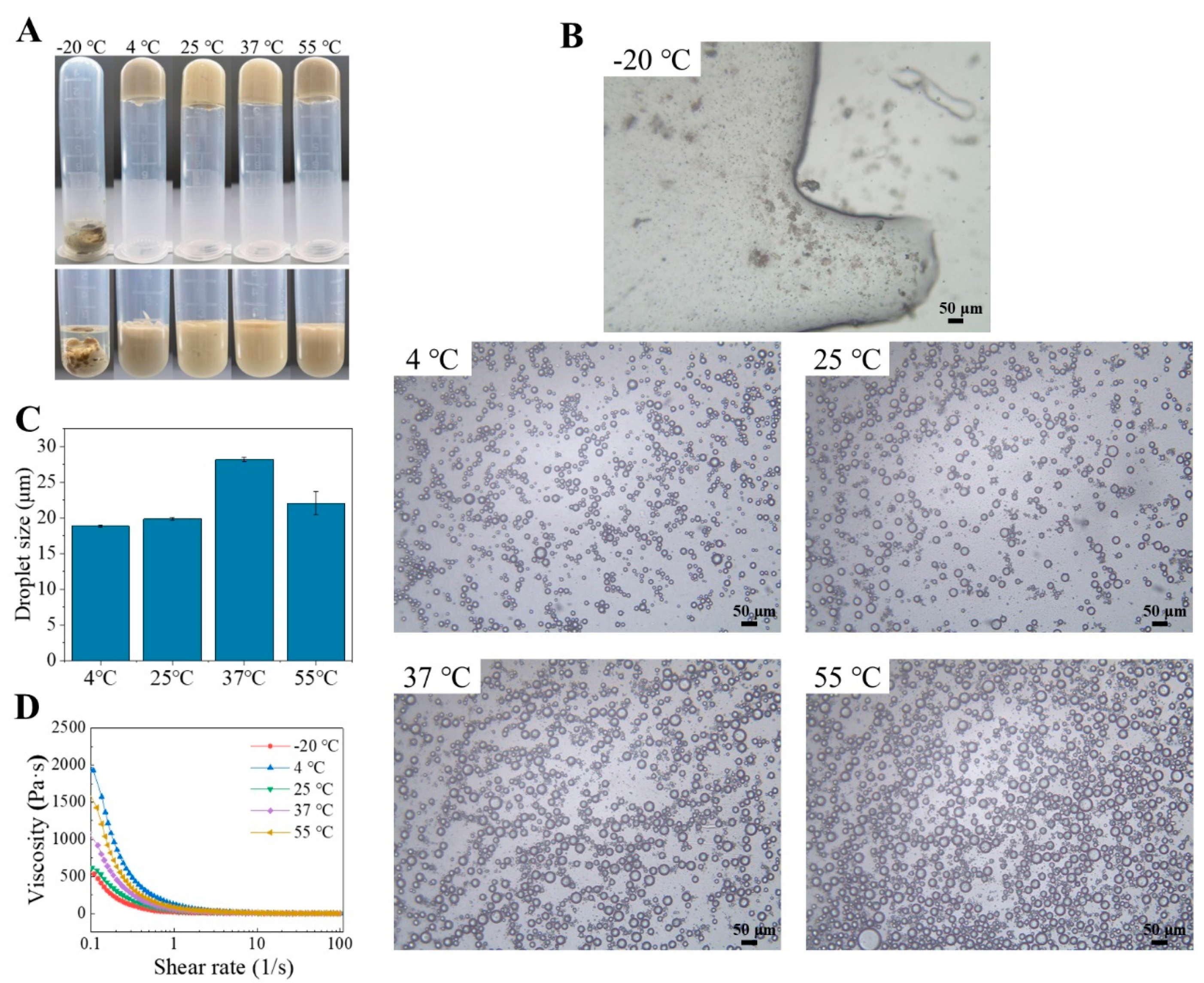 Molecules 29 04312 g007