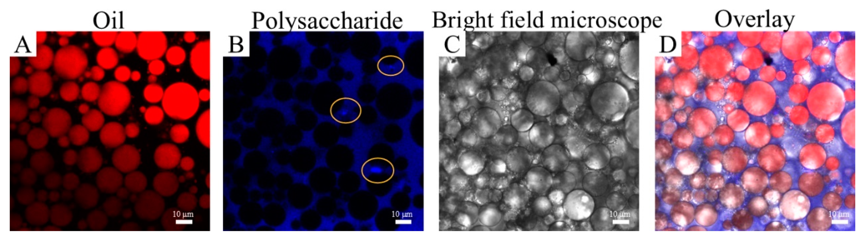 Molecules 29 04312 g008