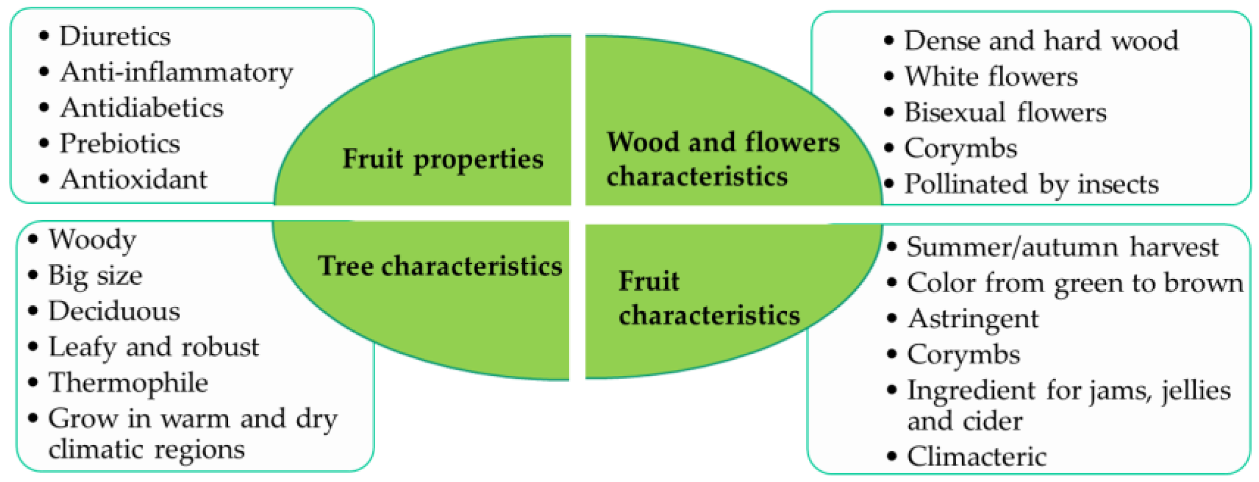 Molecules 29 04321 g001