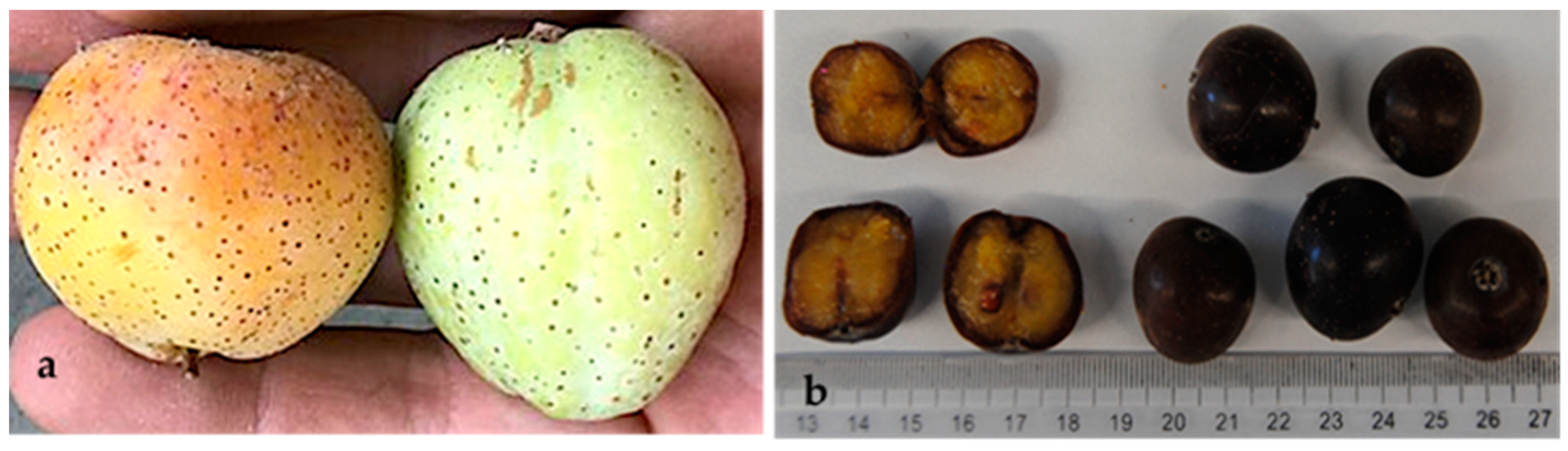 Molecules 29 04321 g004