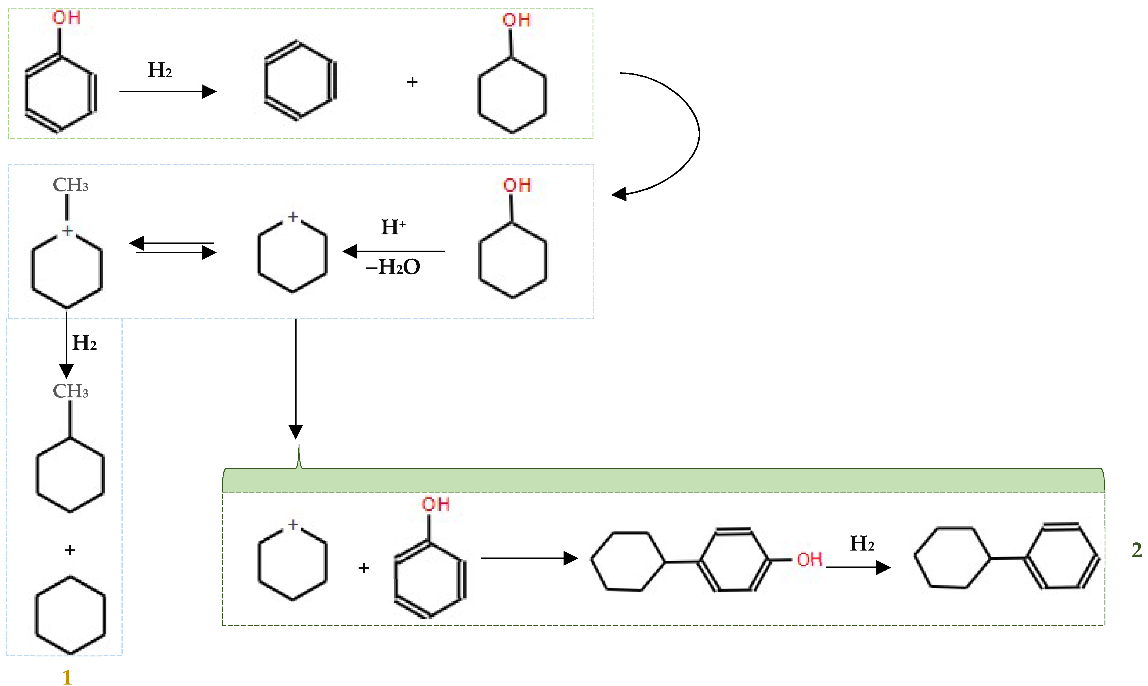 Molecules 29 04325 g007
