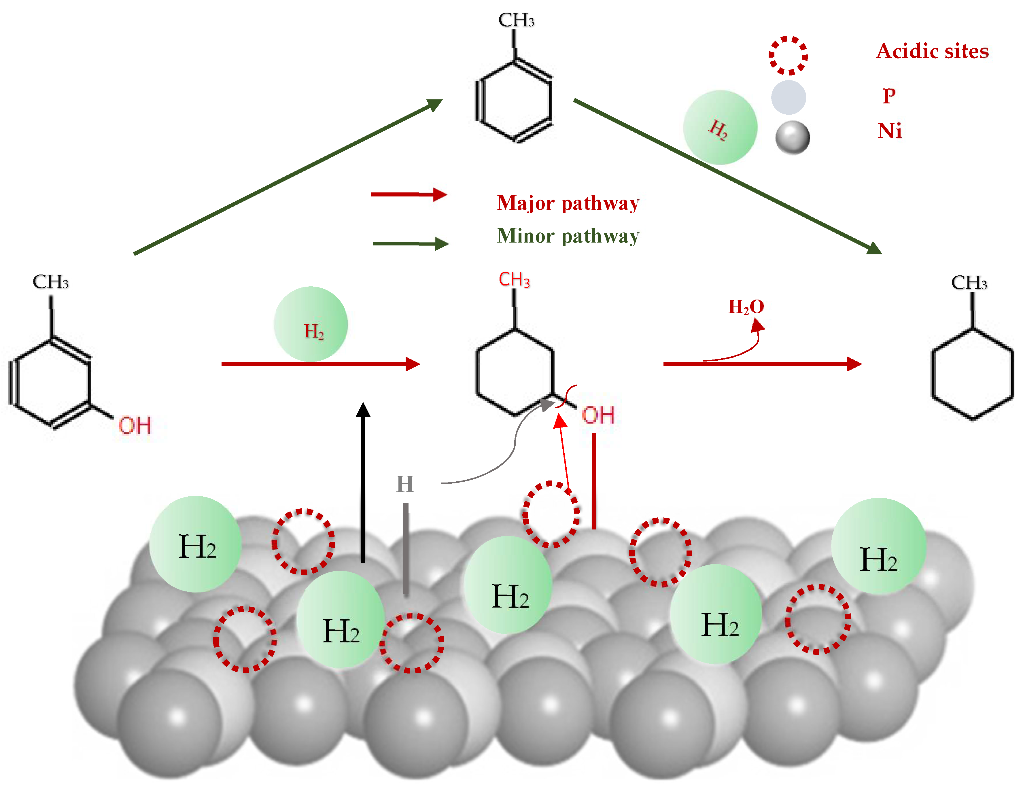 Molecules 29 04325 g008