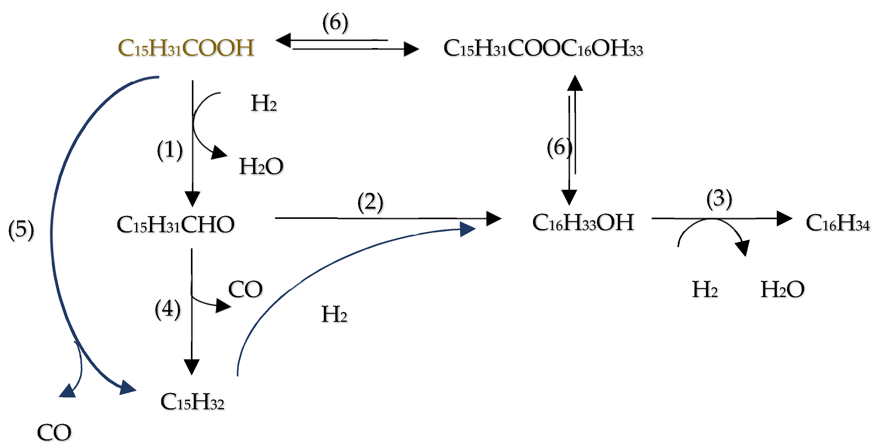 Molecules 29 04325 g016