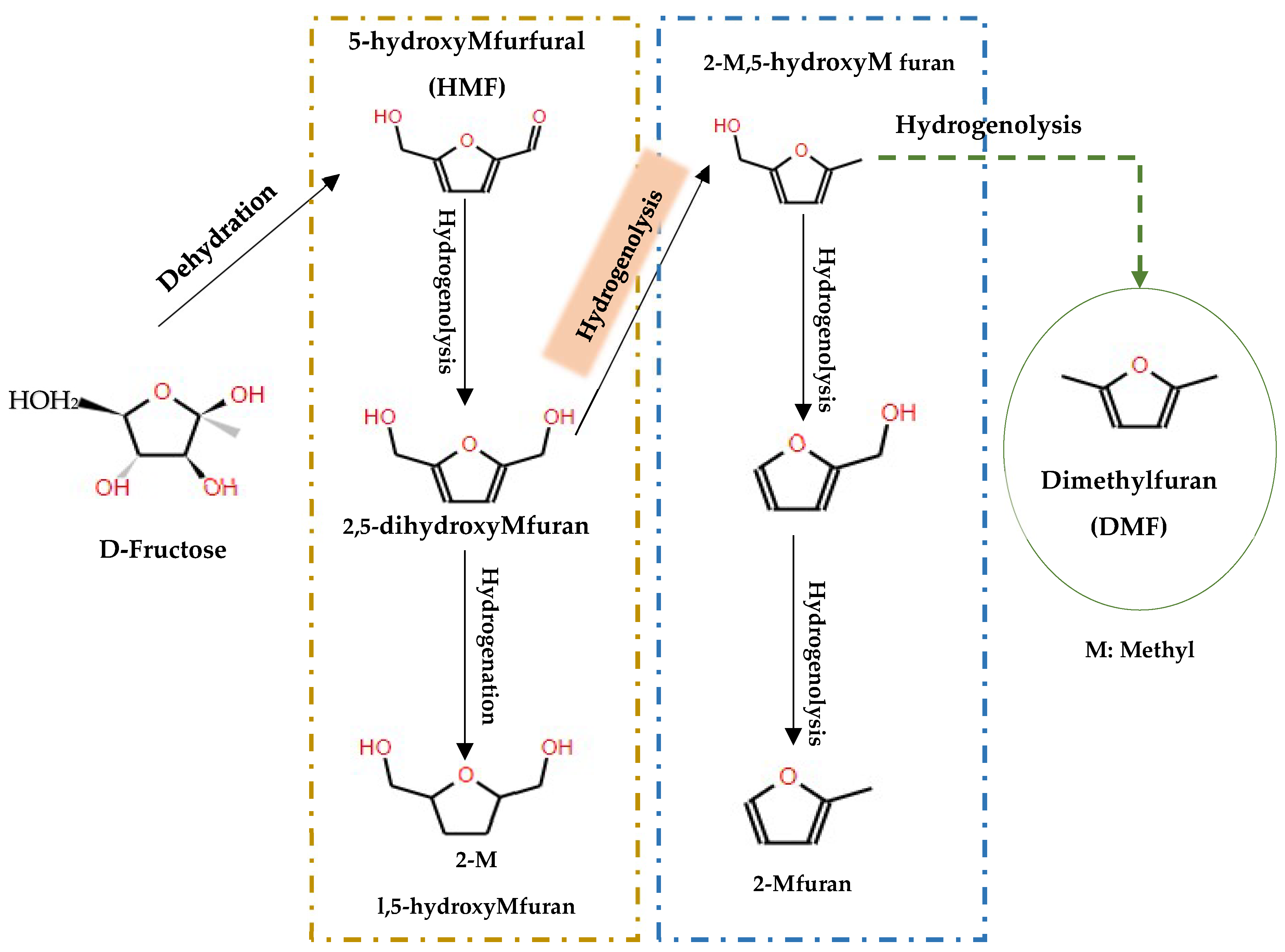 Molecules 29 04325 g018