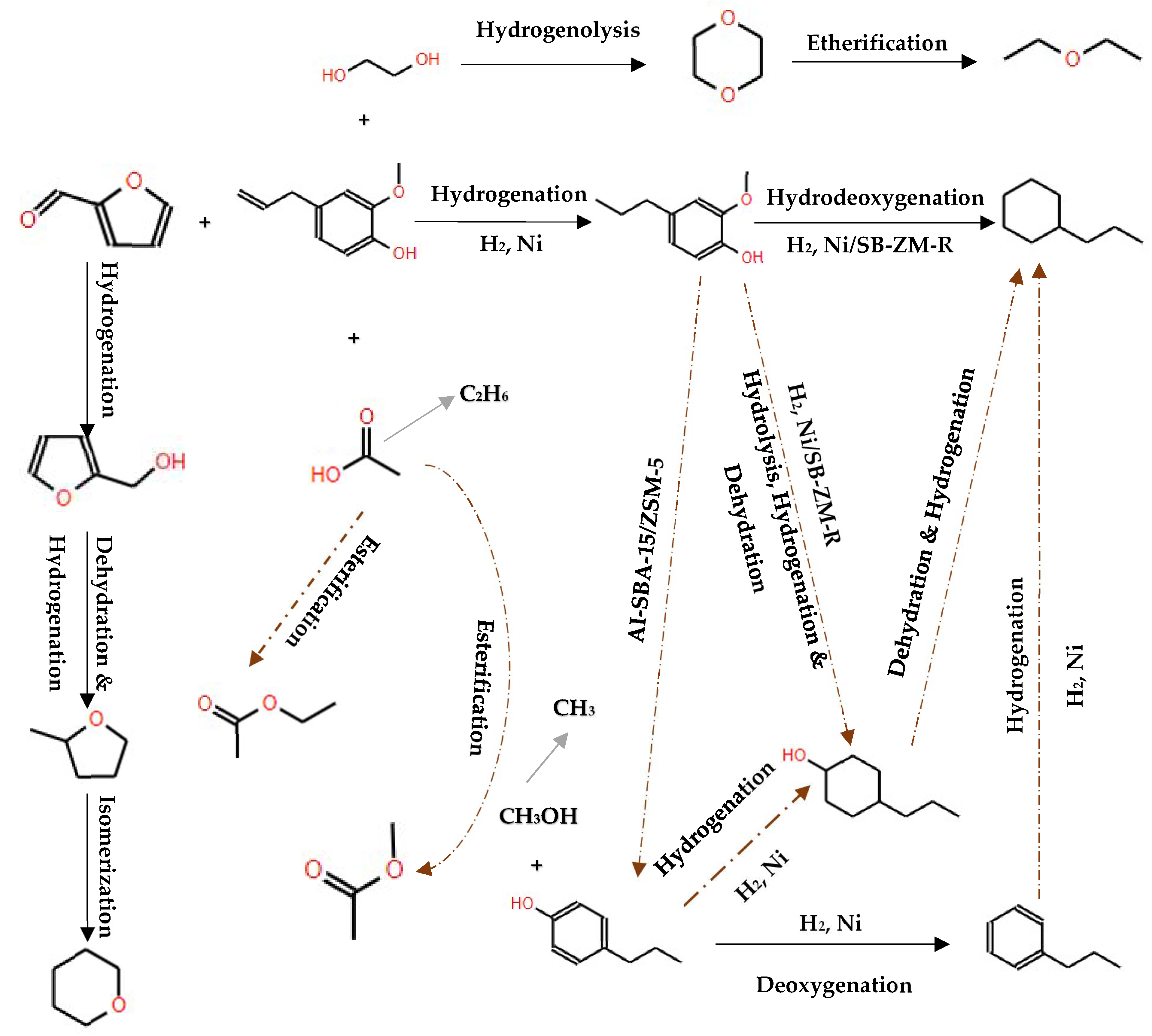 Molecules 29 04325 g021