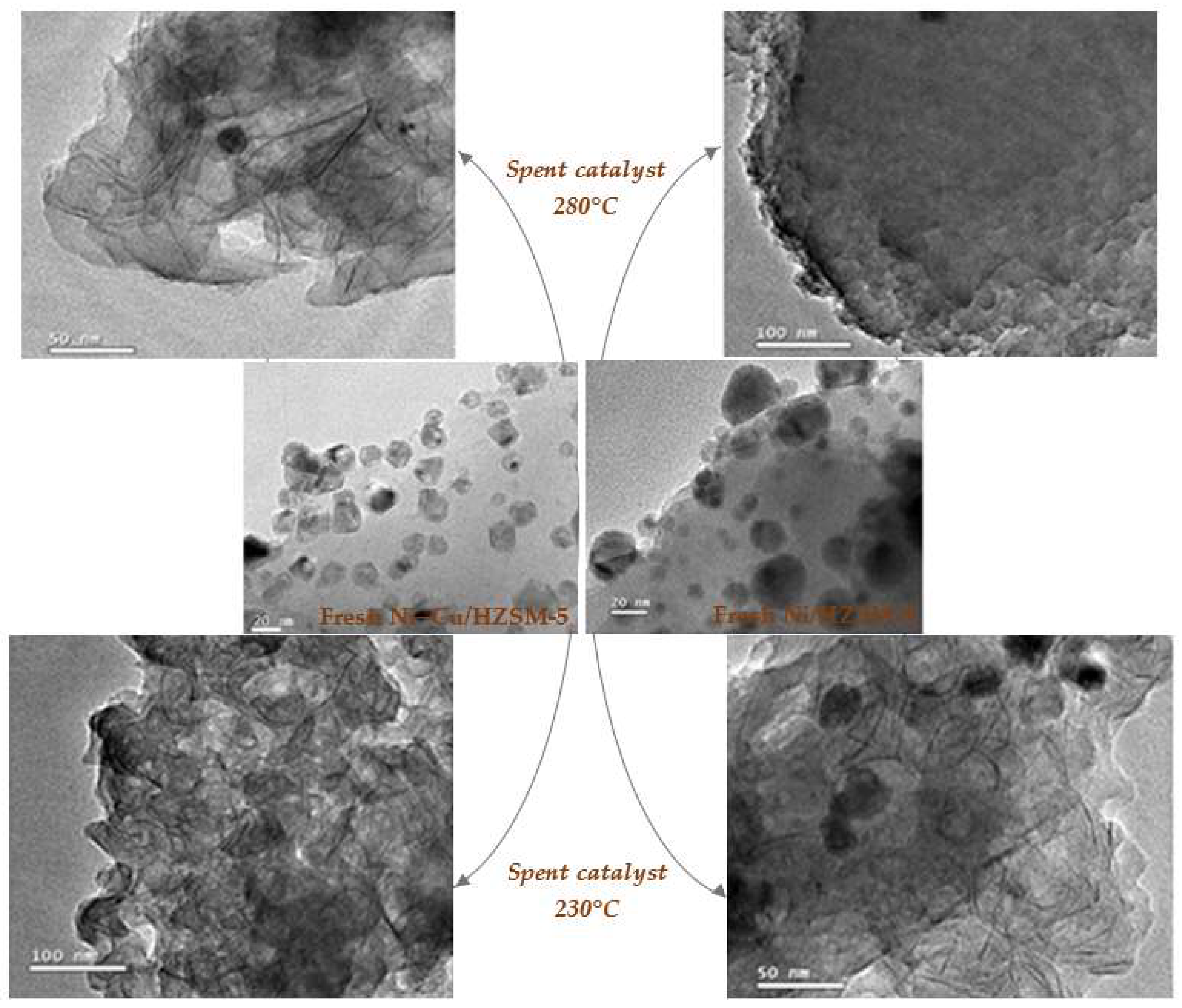 Molecules 29 04325 g024