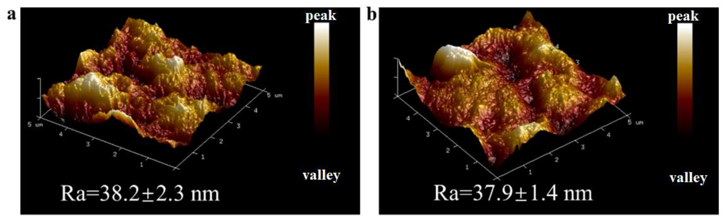 Molecules 29 04326 g003