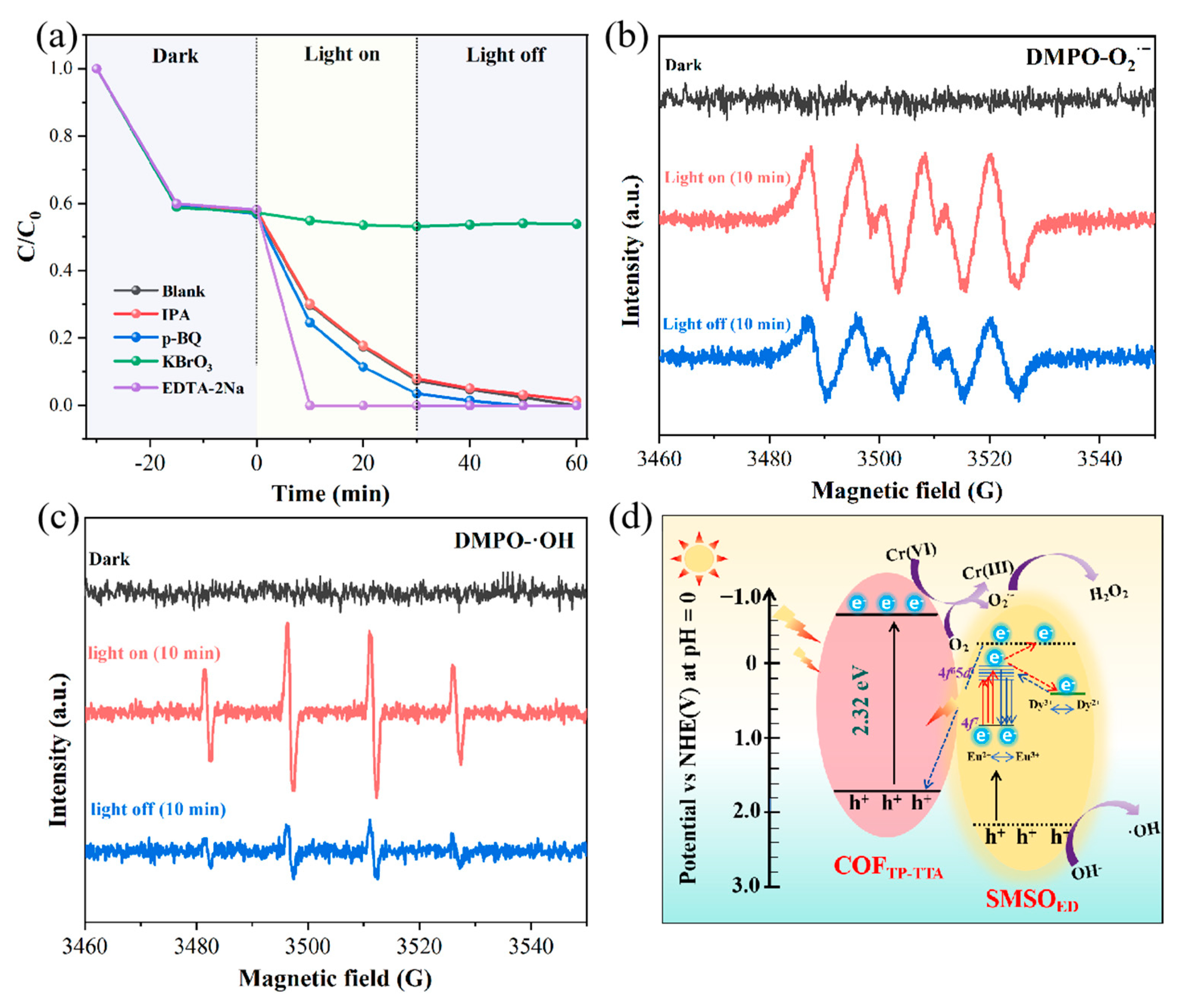 Molecules 29 04327 g007
