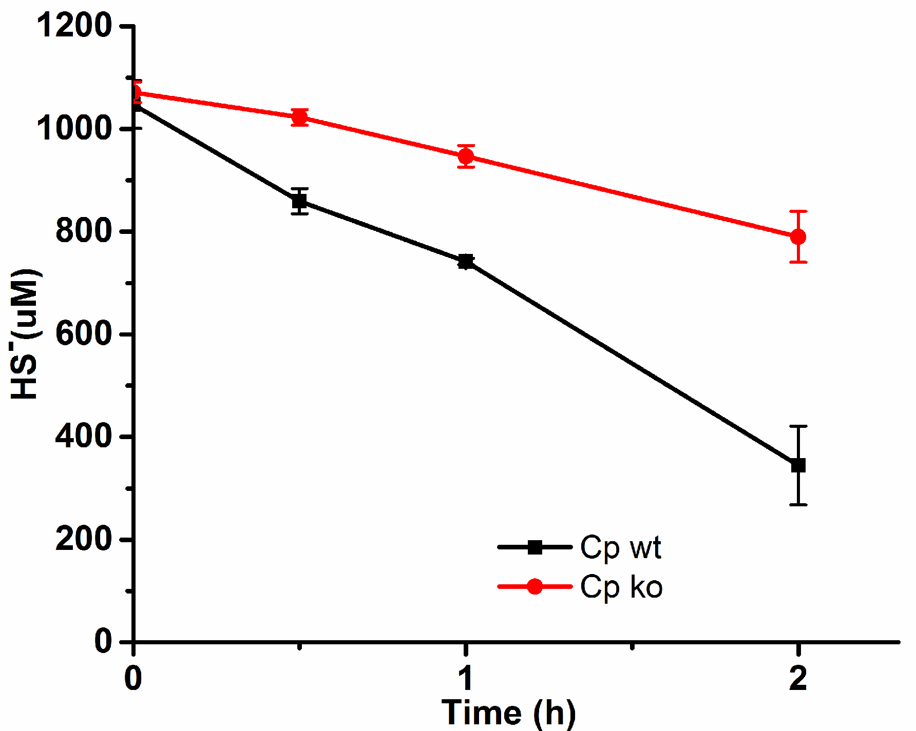 Molecules 29 04328 g004