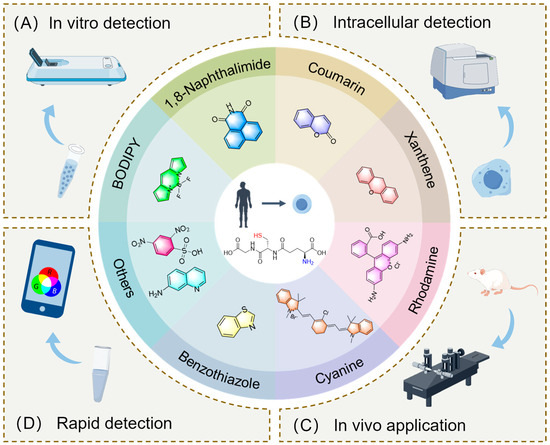 Research Progress of Fluorescent Probes for Detection of