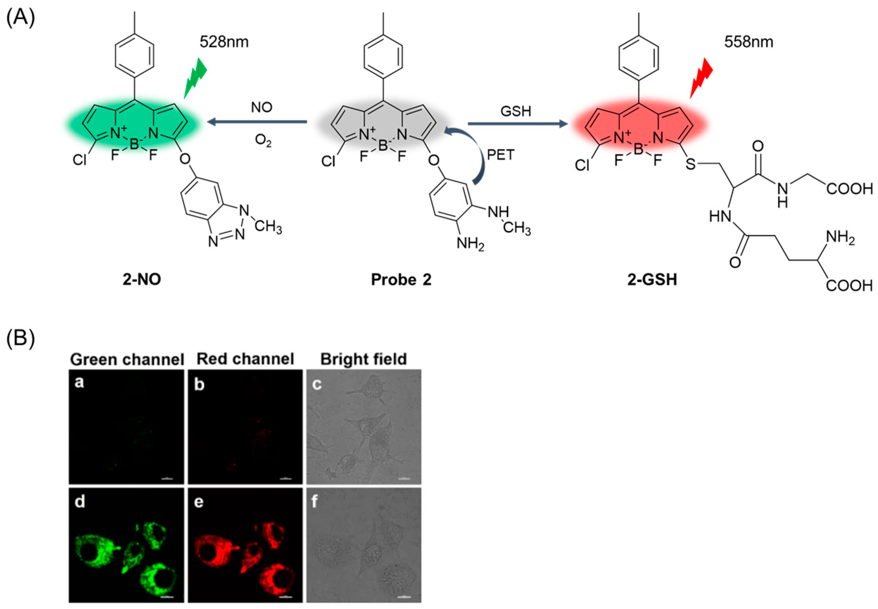 Molecules 29 04333 g005